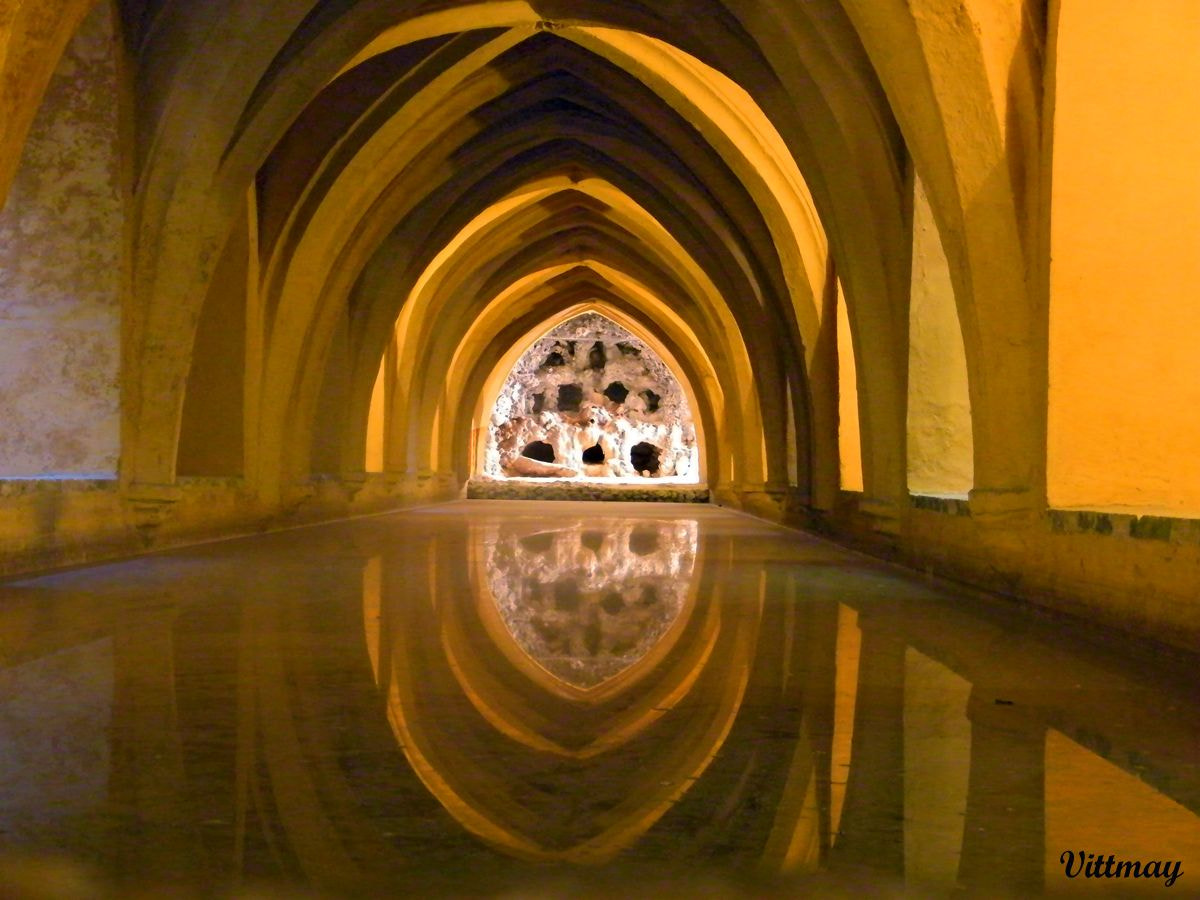 Fujifilm FinePix S2000HD sample photo. # aljibe reales alcazares sevilla siviglia photography