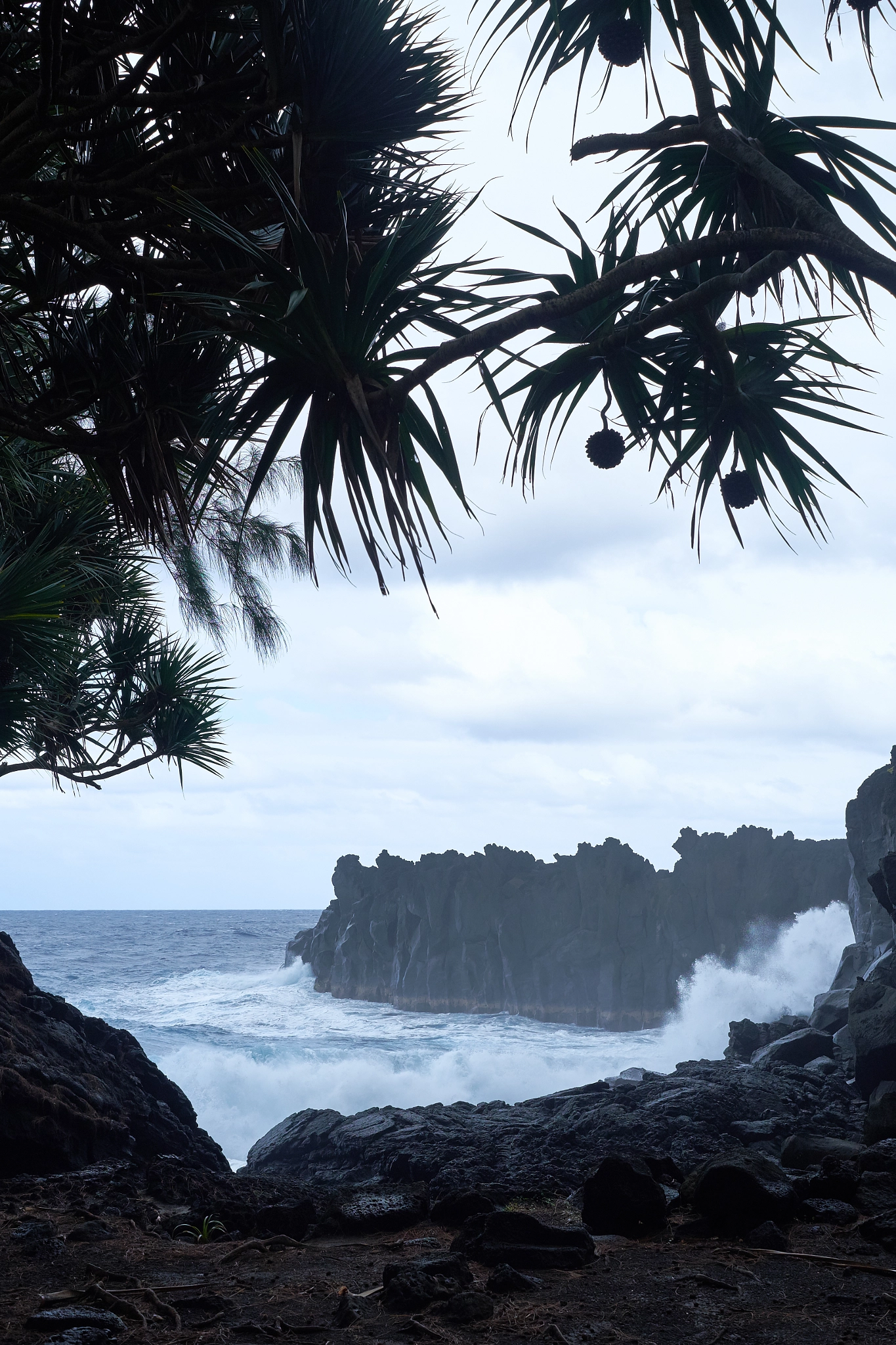 Fujifilm X-E1 + Fujifilm XF 27mm F2.8 sample photo. Saint philippe vocanic reef - cap méchant photography