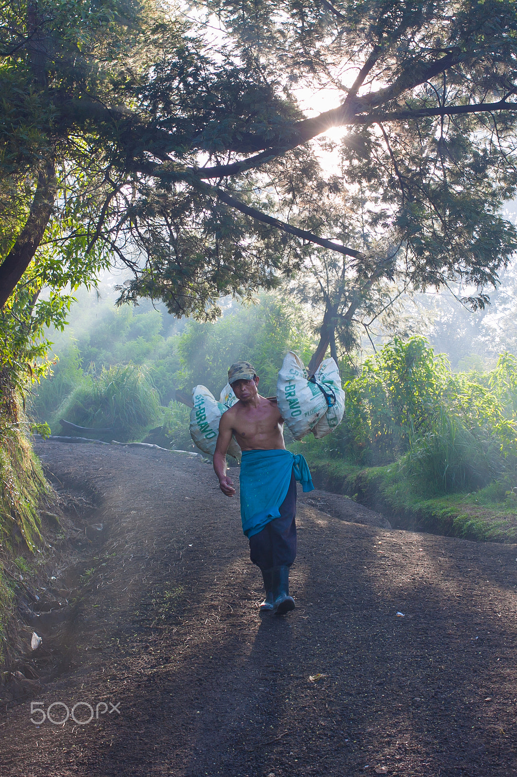 Canon EOS 50D + Canon EF 40mm F2.8 STM sample photo. Sun beams thorough trees and greens (kawah ijen , photography