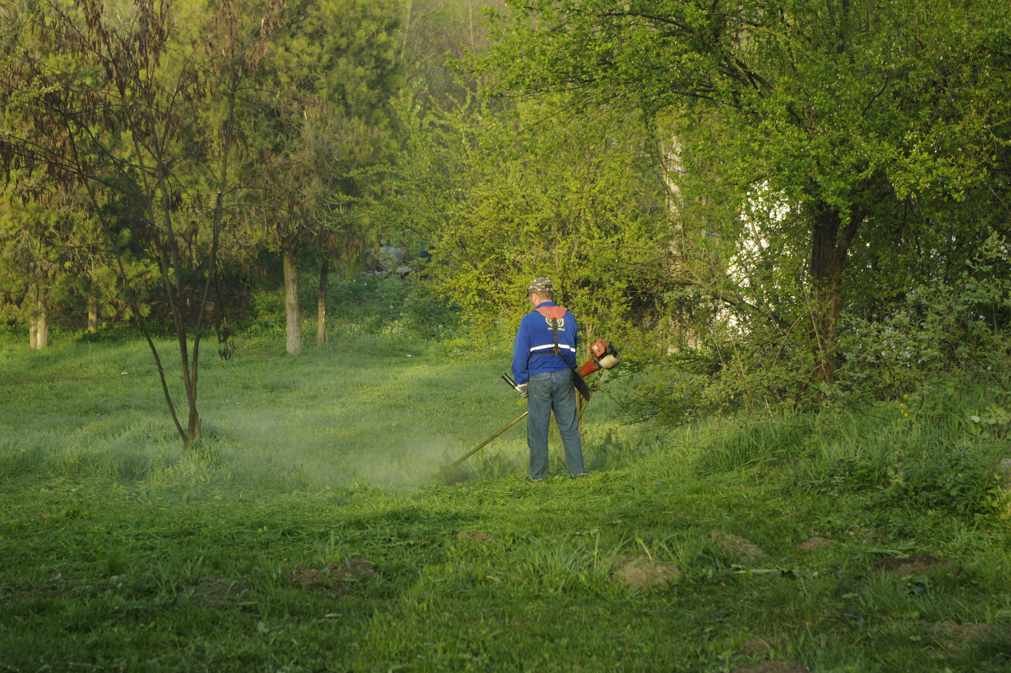 Pentax K-3 sample photo. Cutting grass photography