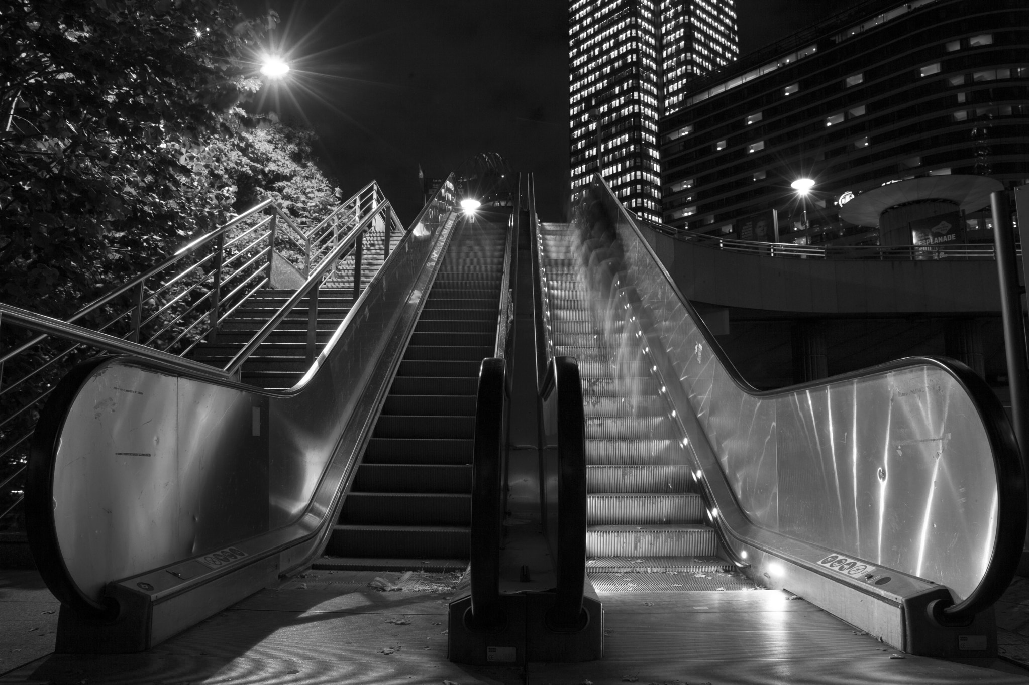 Canon EF 24-105mm F3.5-5.6 IS STM sample photo. Up & down photography