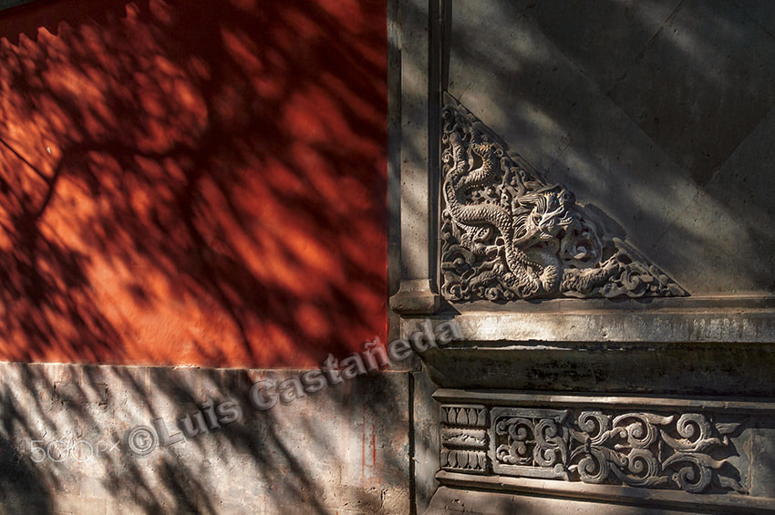 Pentax K20D sample photo. Dragon relief. the summer palace. beijing. china photography