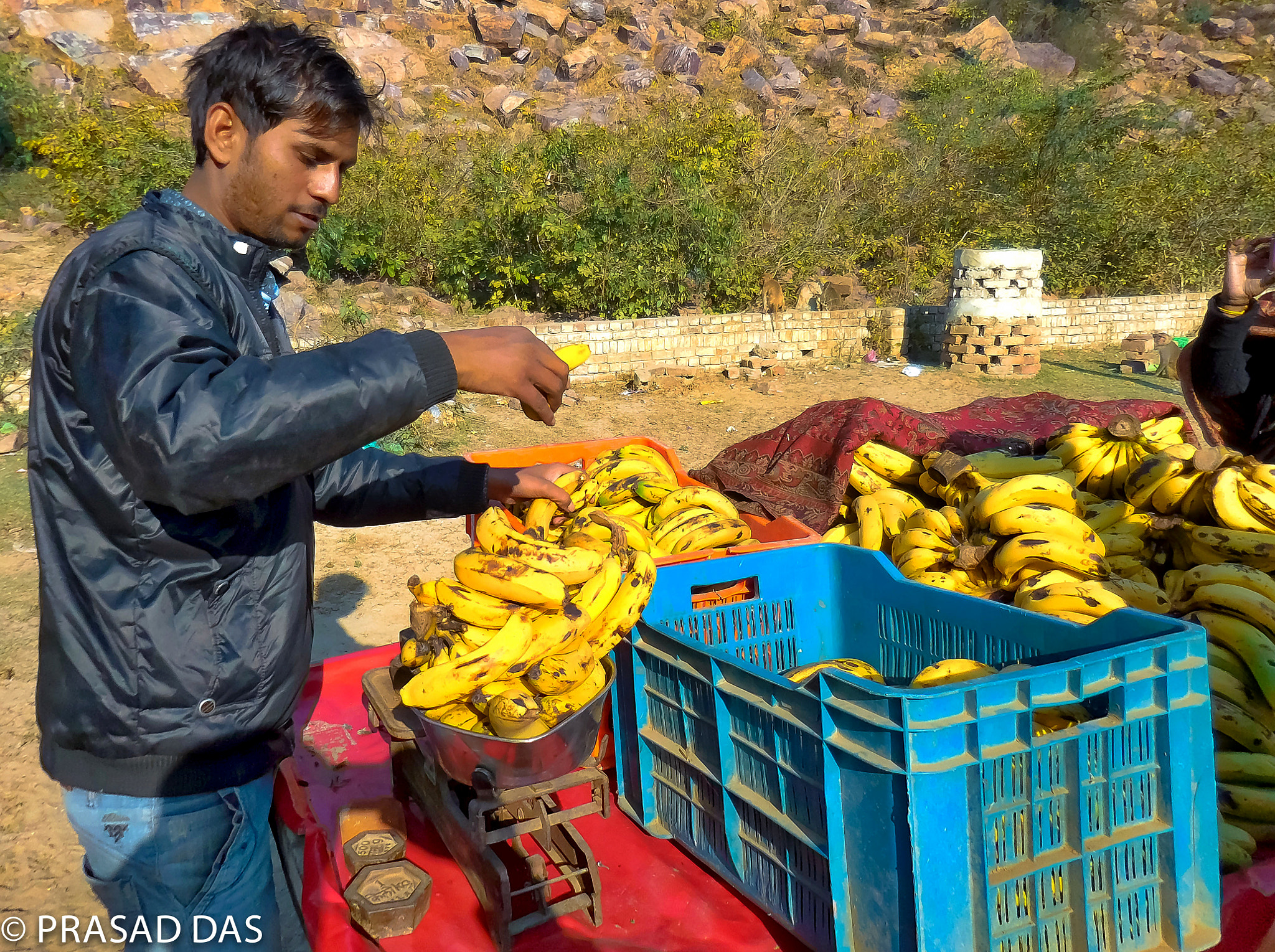 Nikon Coolpix S6900 sample photo. Weighing banana to feed monkeys in uttar pradesh macphun photography