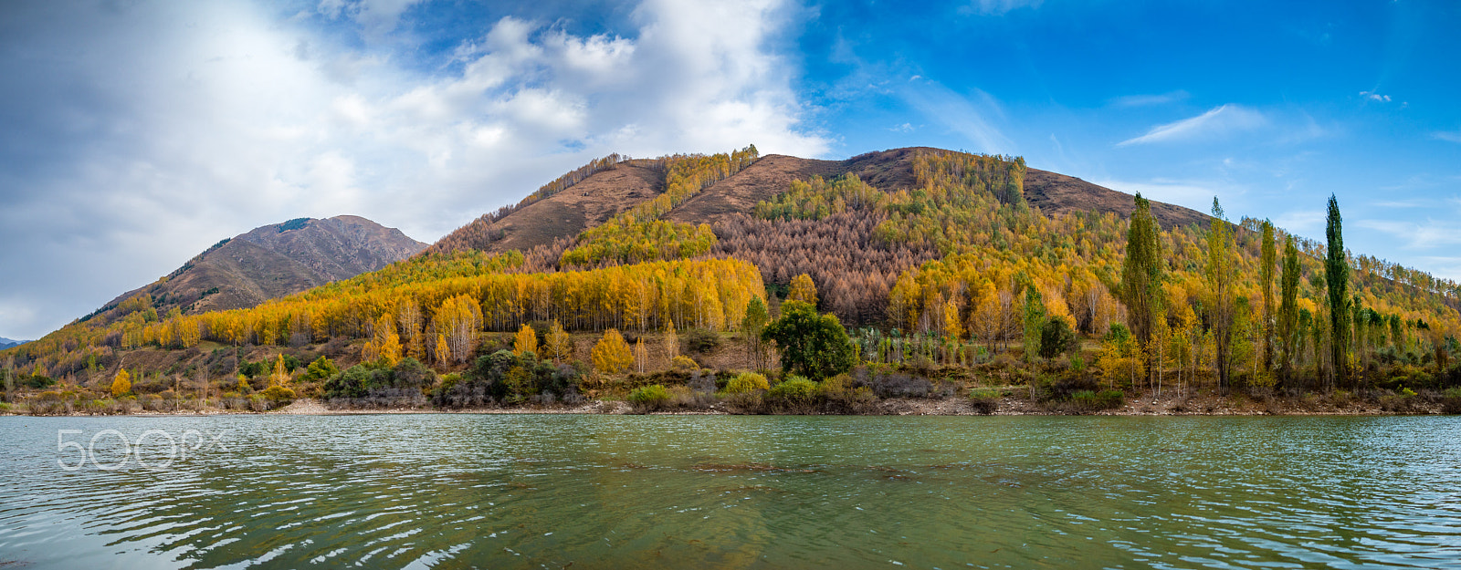 Olympus OM-D E-M10 sample photo. Stunning autumn. photography