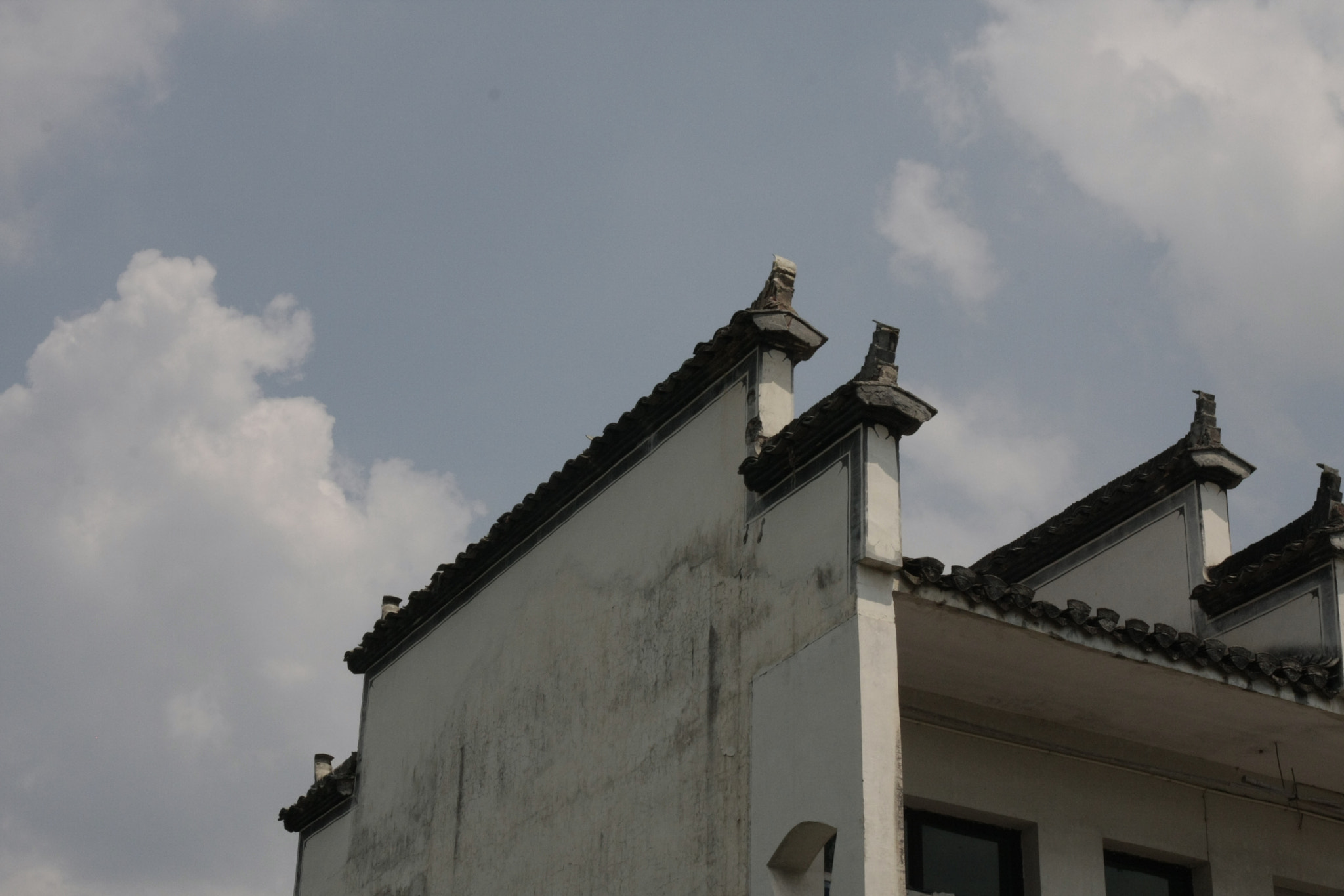 Canon EOS 40D sample photo