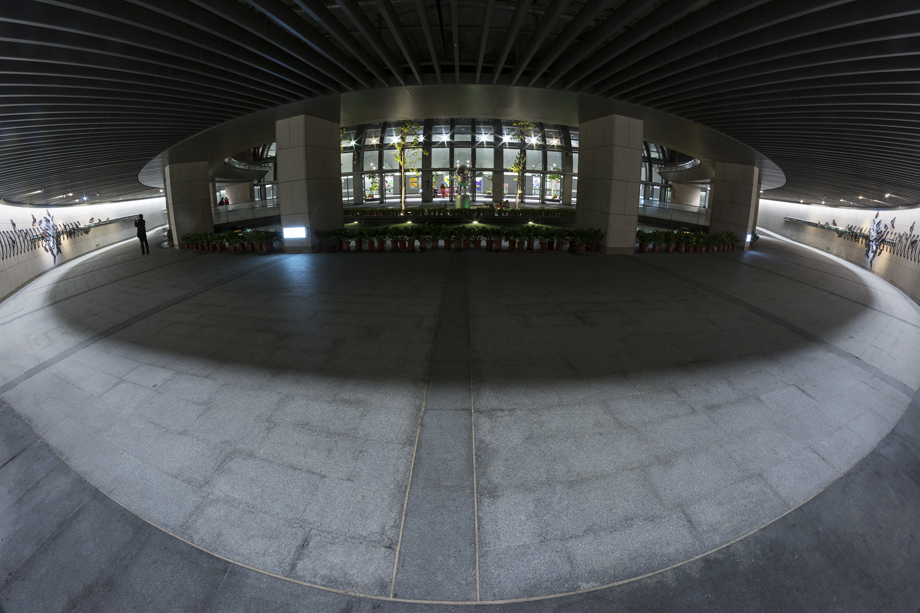 Samyang 8mm F3.5 Aspherical IF MC Fisheye sample photo. Dsc photography