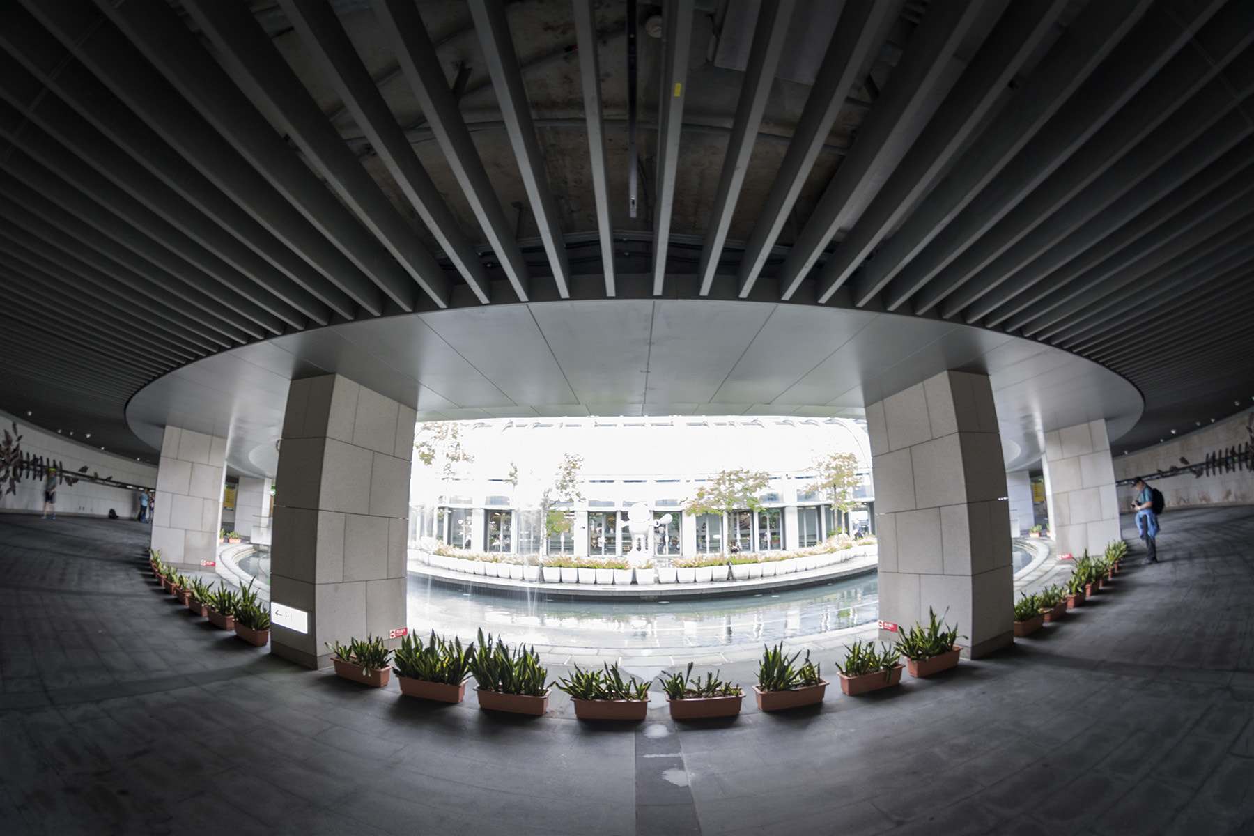 Samyang 8mm F3.5 Aspherical IF MC Fisheye sample photo. Dsc photography