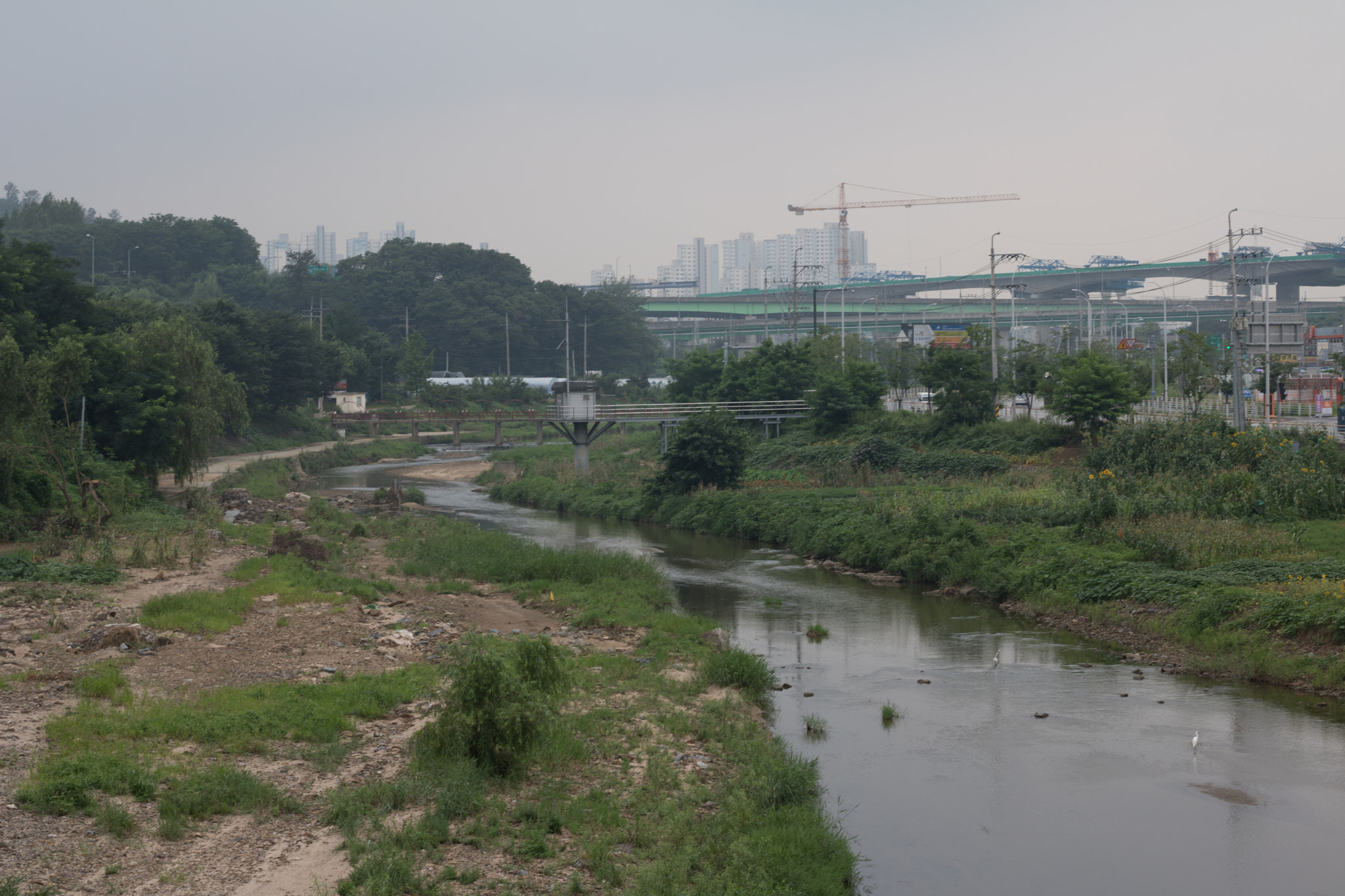 Canon EOS 760D (EOS Rebel T6s / EOS 8000D) sample photo. Toegyewon stream photography