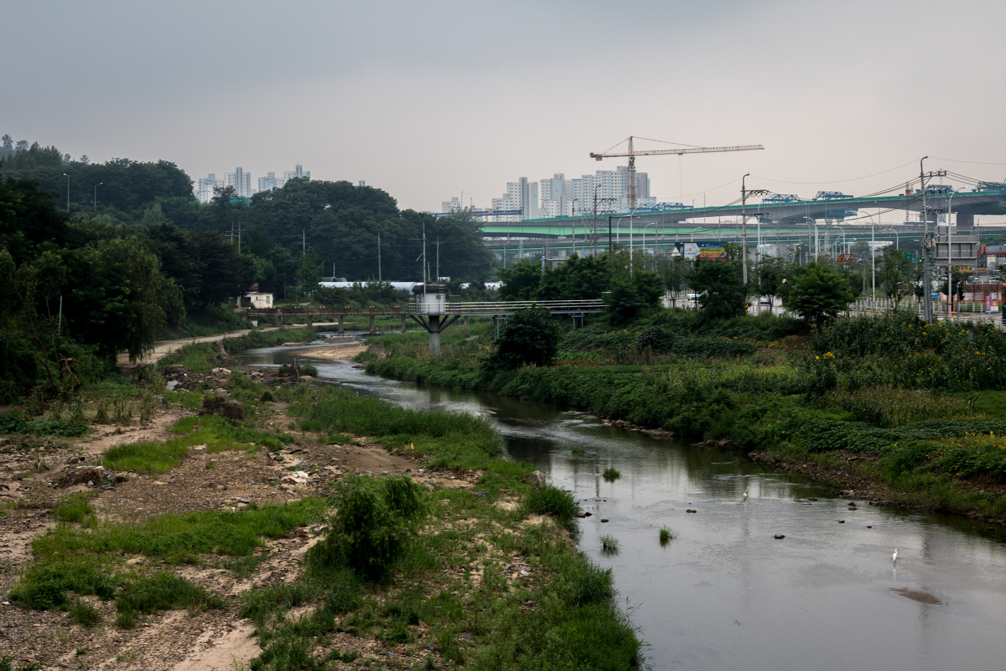 Canon EOS 760D (EOS Rebel T6s / EOS 8000D) sample photo. Toegyewon stream photography