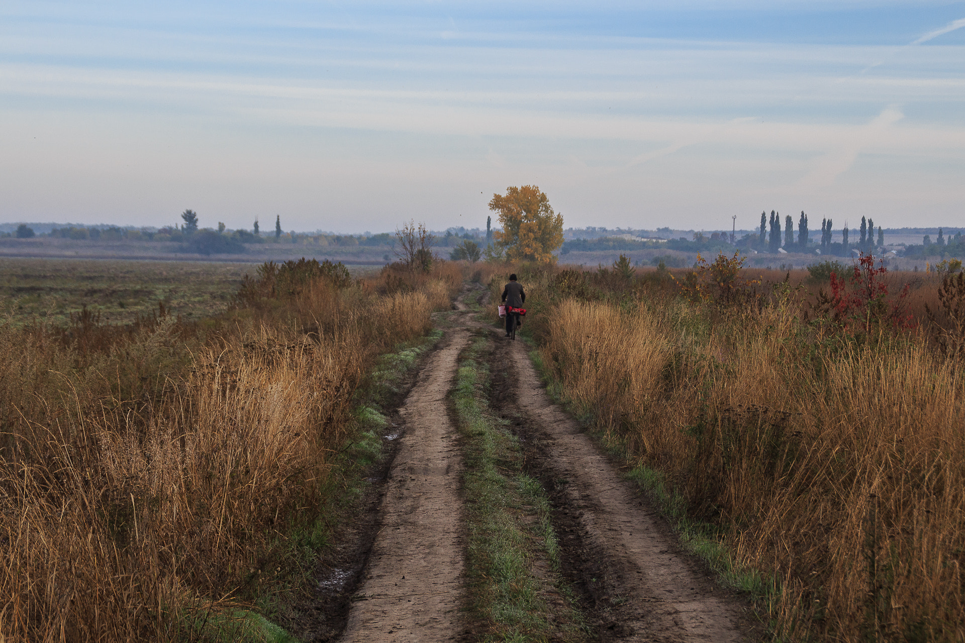 Canon EOS 650D (EOS Rebel T4i / EOS Kiss X6i) sample photo. Country road photography