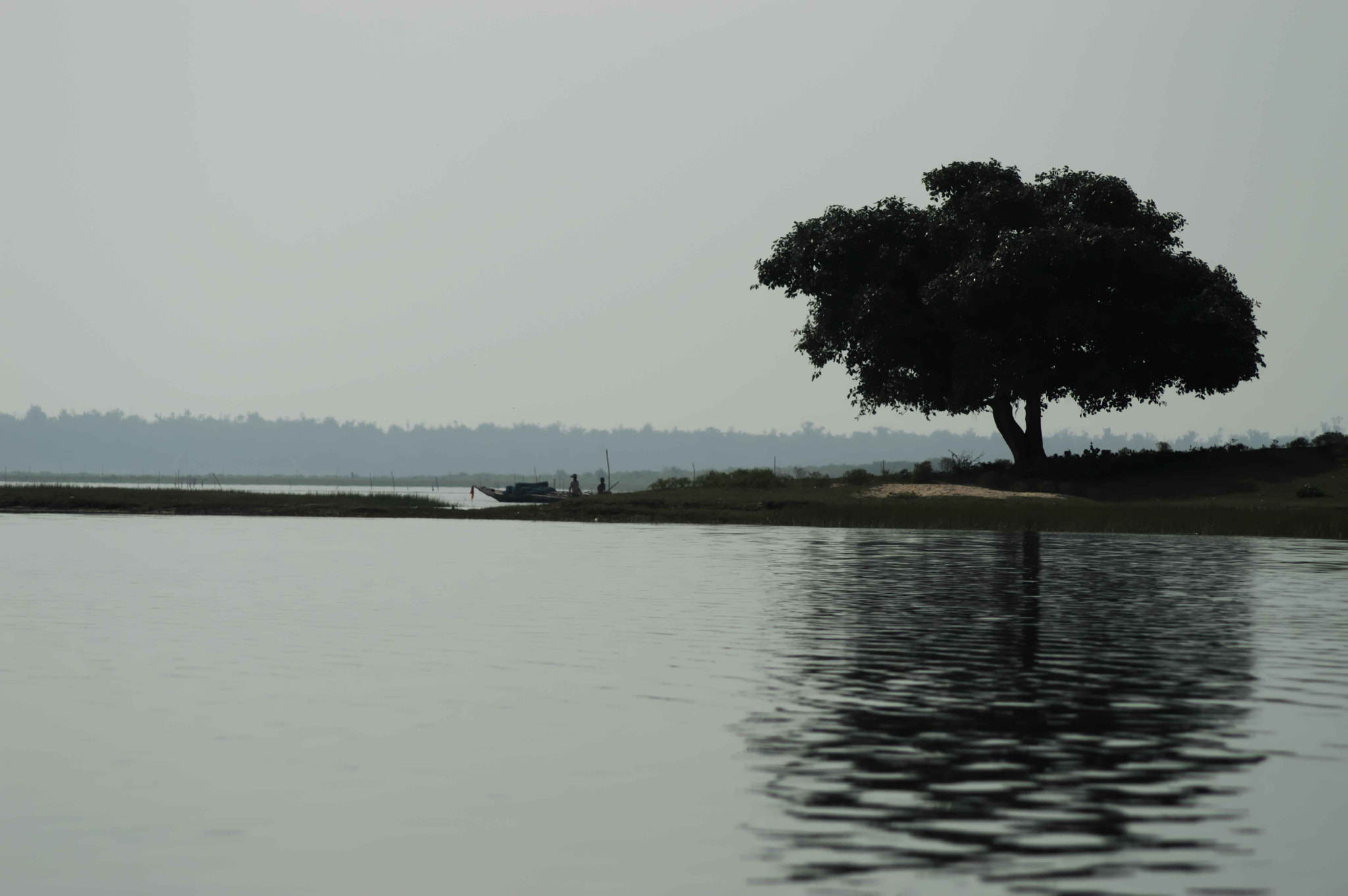Nikon AF Nikkor 70-300mm F4-5.6G sample photo. Chilka lake photography