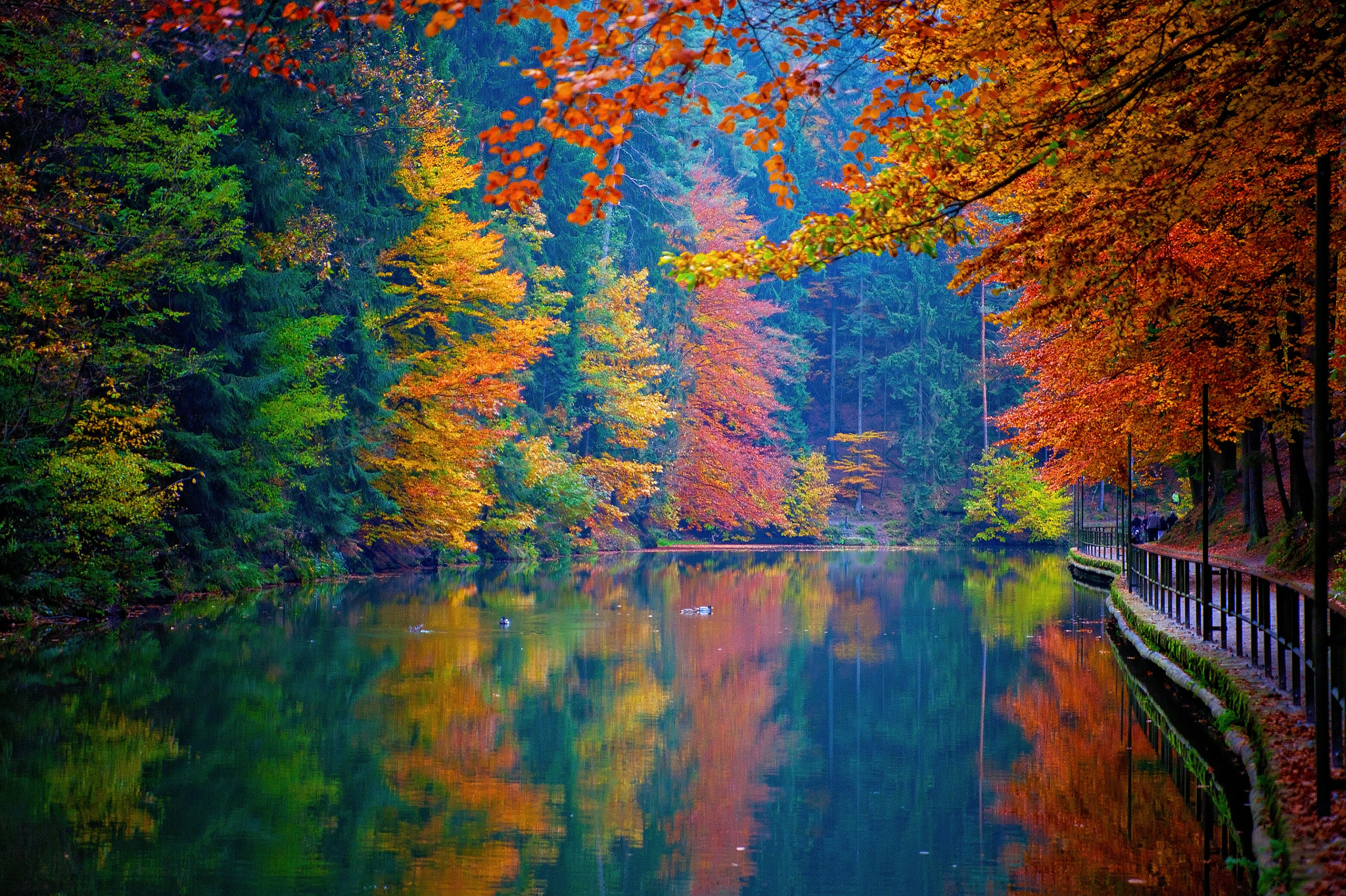 Canon EOS 5D sample photo. Saxon switzerland national park, germany photography
