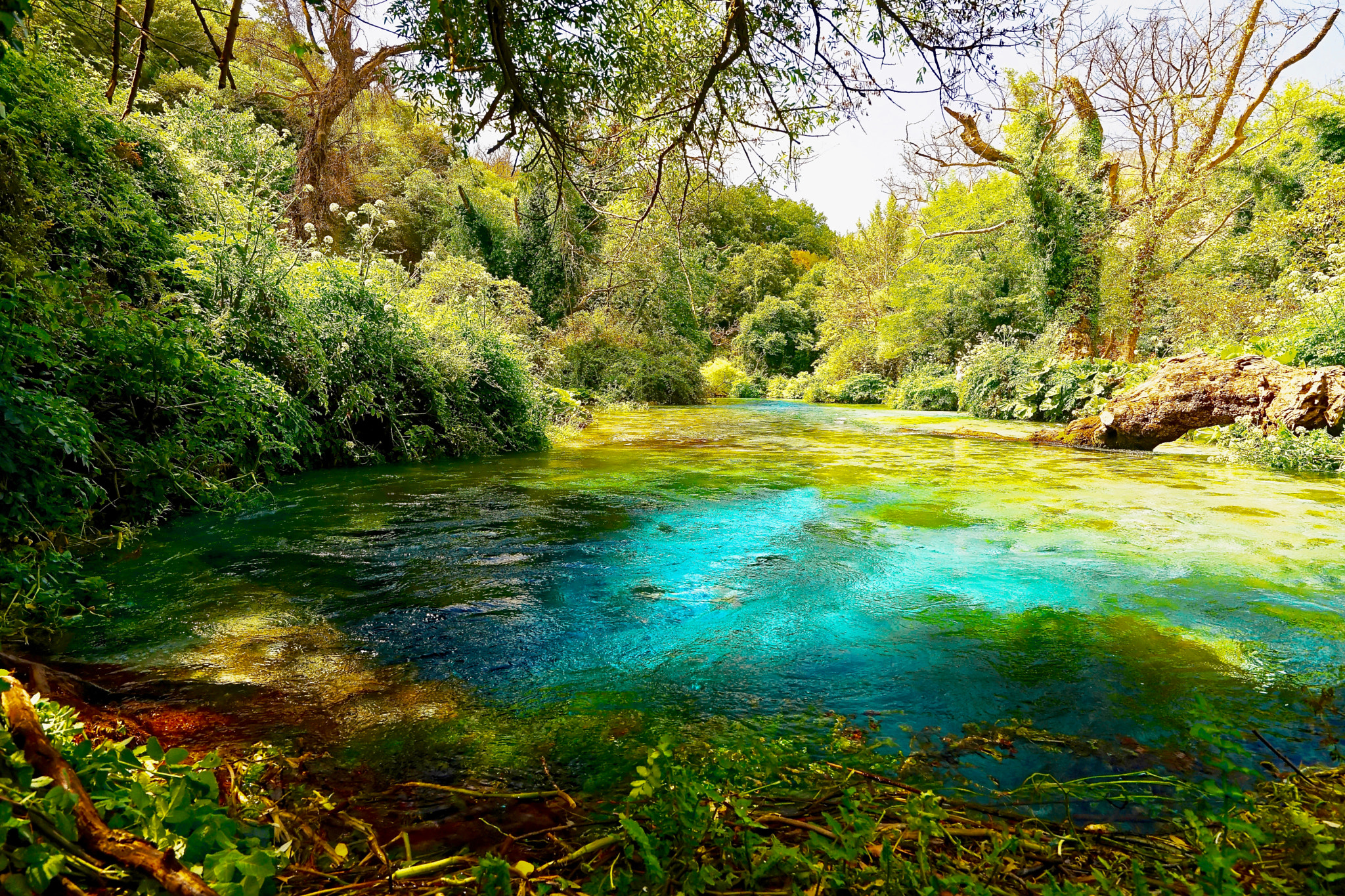 Sony a7 II + Sony Vario-Tessar T* FE 16-35mm F4 ZA OSS sample photo. Blue eye photography