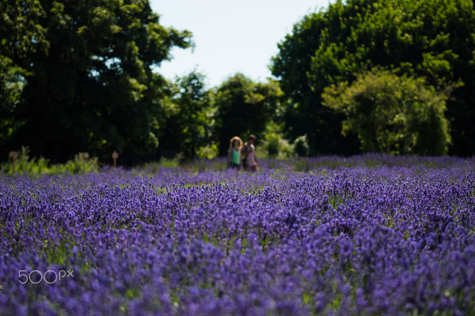 Sigma 105mm F2.8 EX DG OS HSM sample photo. Couple photography