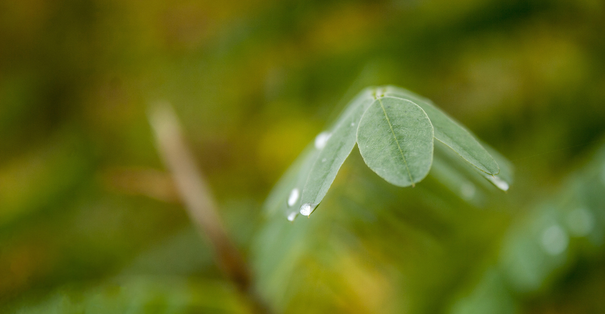 Canon EOS 30D sample photo. Img photography