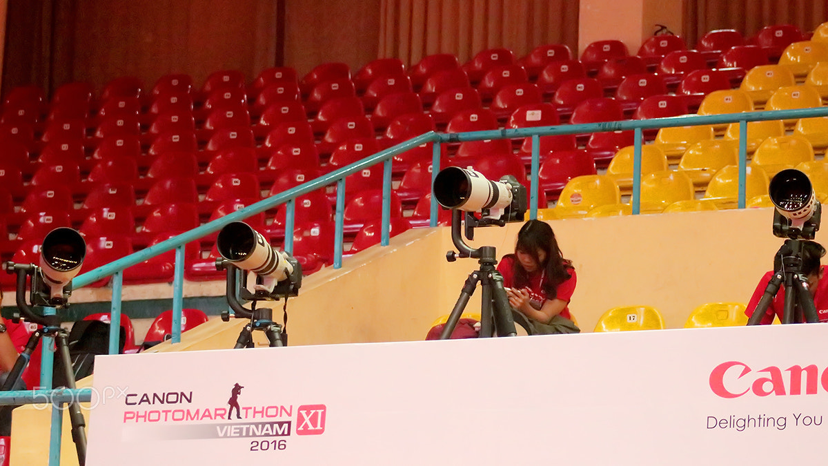 Canon EOS 750D (EOS Rebel T6i / EOS Kiss X8i) + EF75-300mm f/4-5.6 sample photo. Canon photomarathon 2016 photography