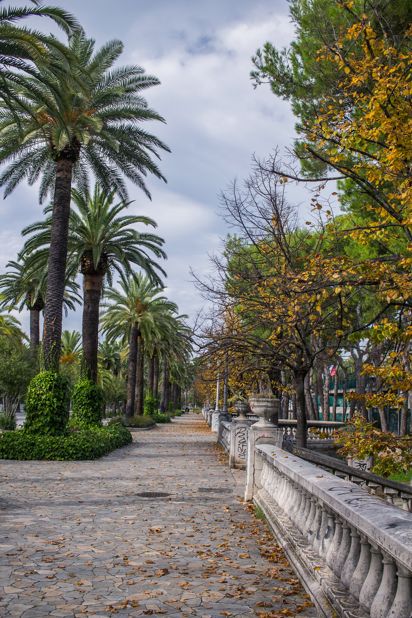 Canon EF-S 24mm F2.8 STM sample photo. Autunno a sbt.... photography
