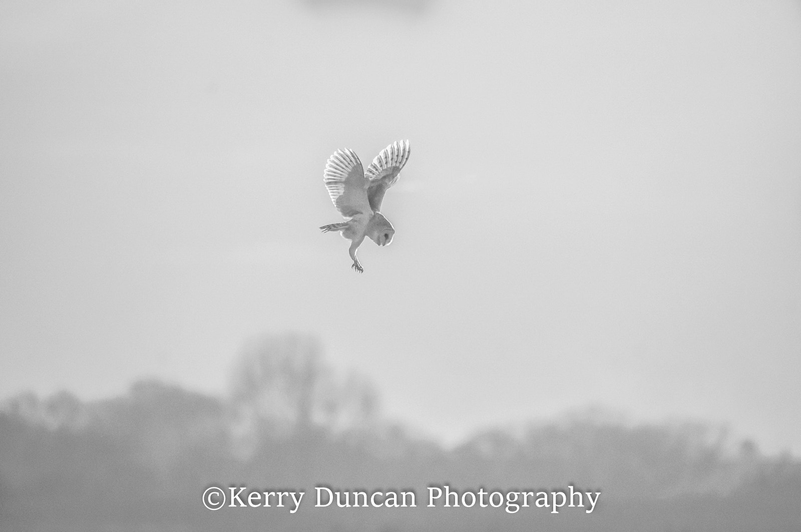 Sony ILCA-77M2 + Sigma 150-500mm F5-6.3 DG OS HSM sample photo. Ghost flight photography