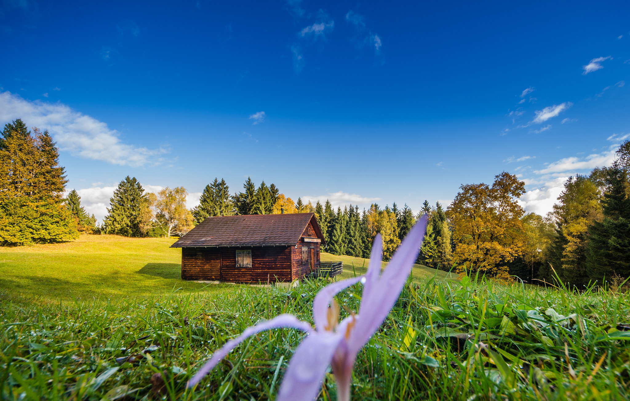 Sigma 8-16mm F4.5-5.6 DC HSM sample photo. Nenzing photography