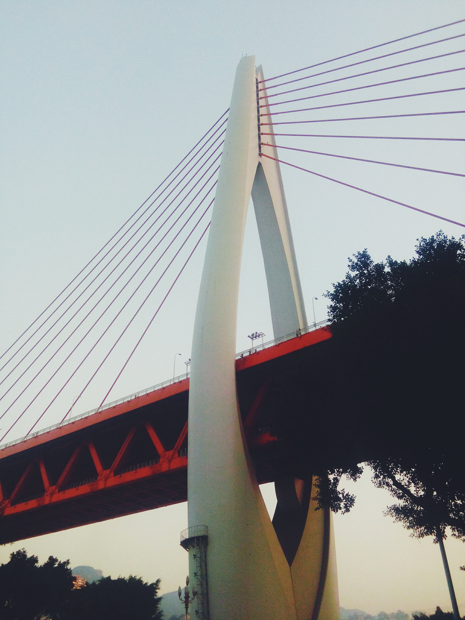 vivo Y22 sample photo
