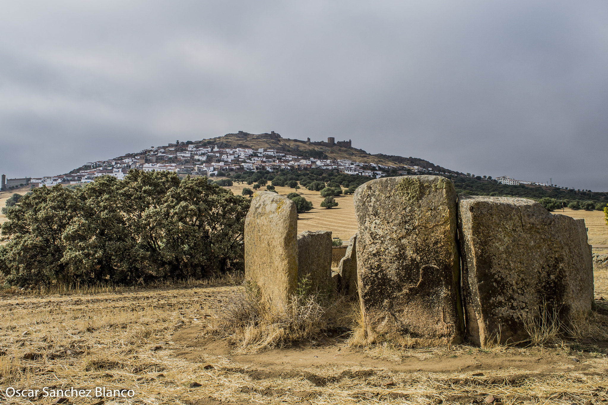 Sony Alpha a5000 (ILCE 5000) + Sony 20mm F2.8 sample photo. Magacela photography