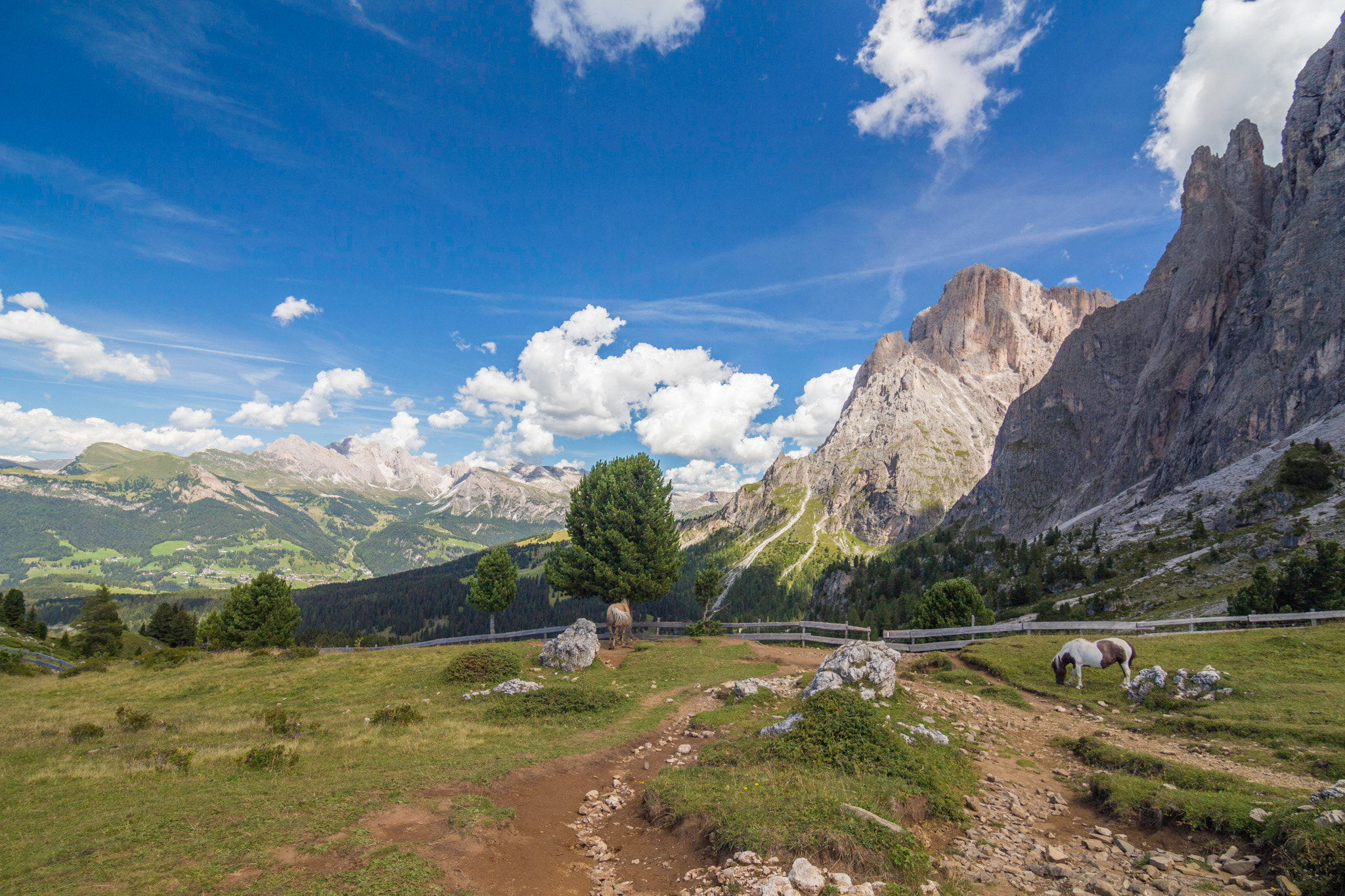 Canon EOS 650D (EOS Rebel T4i / EOS Kiss X6i) sample photo. Panoramic view from sassolungo photography