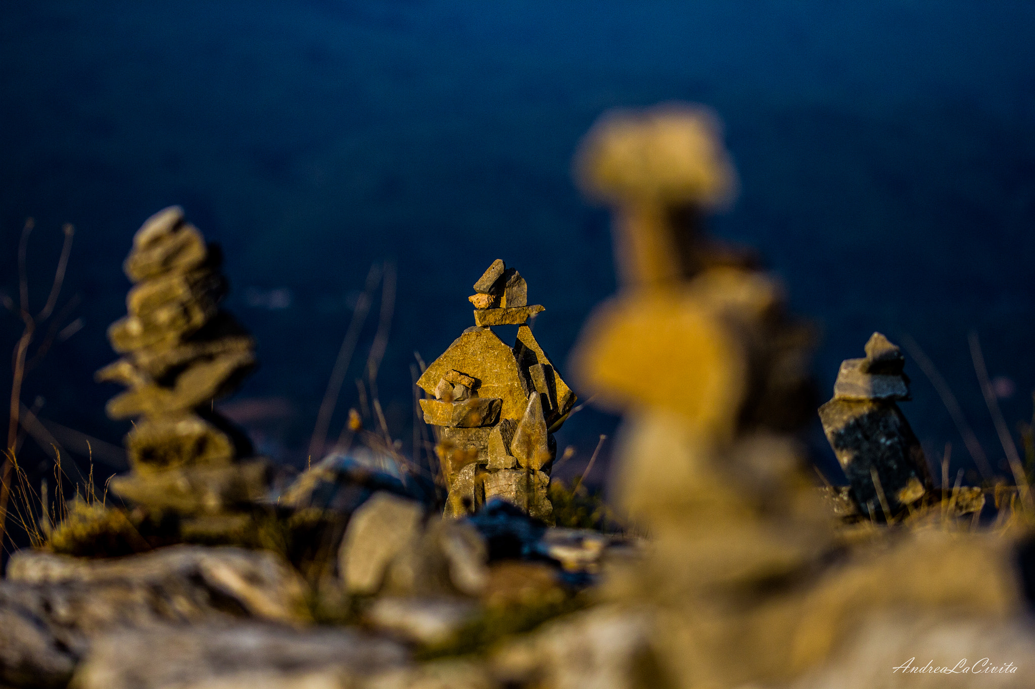 Sigma 105mm F2.8 EX DG OS HSM sample photo. Sculpture #2 photography