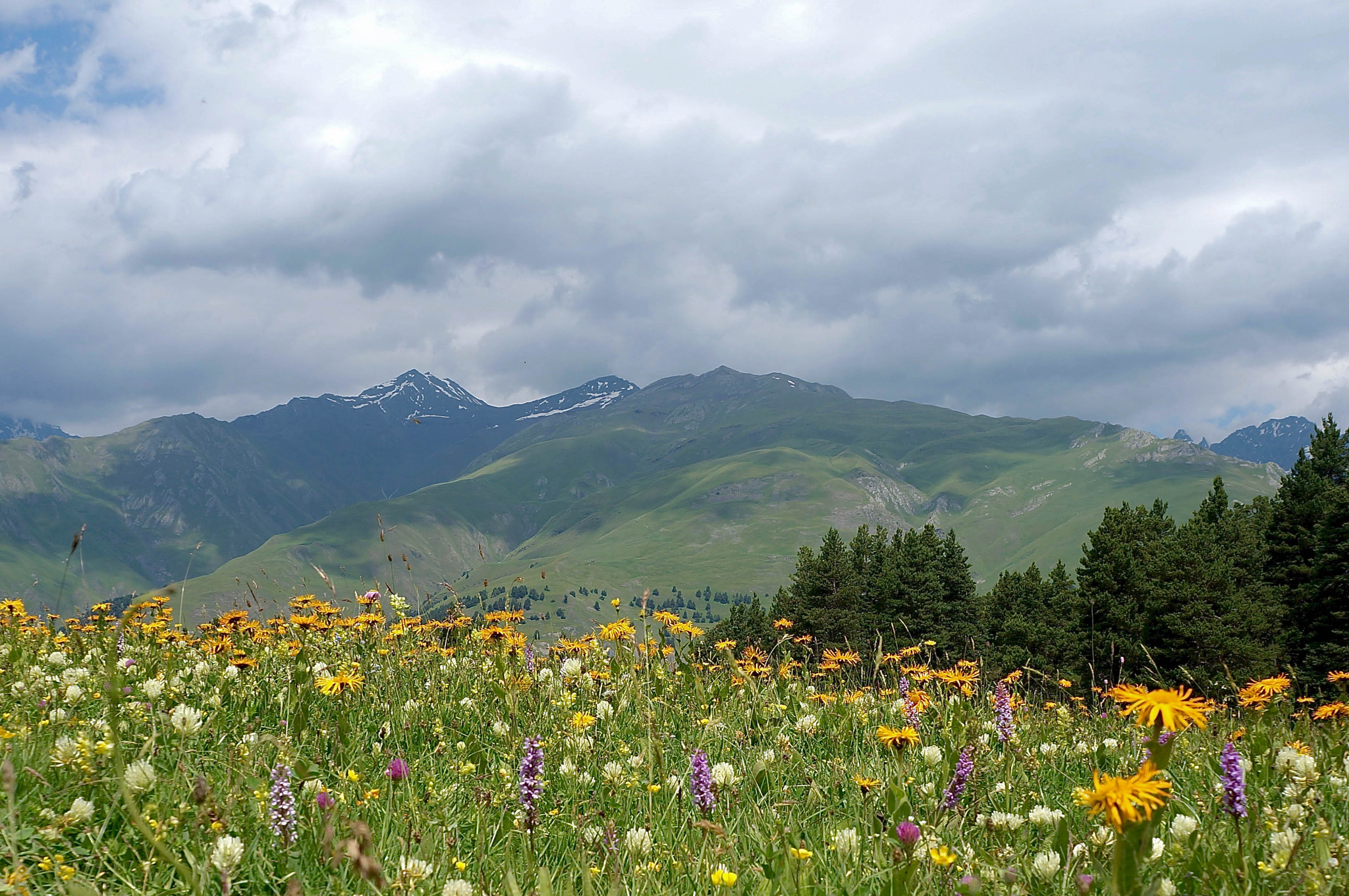 Tamron 18-200mm F3.5-6.3 Di III VC sample photo. Caucasian summer photography