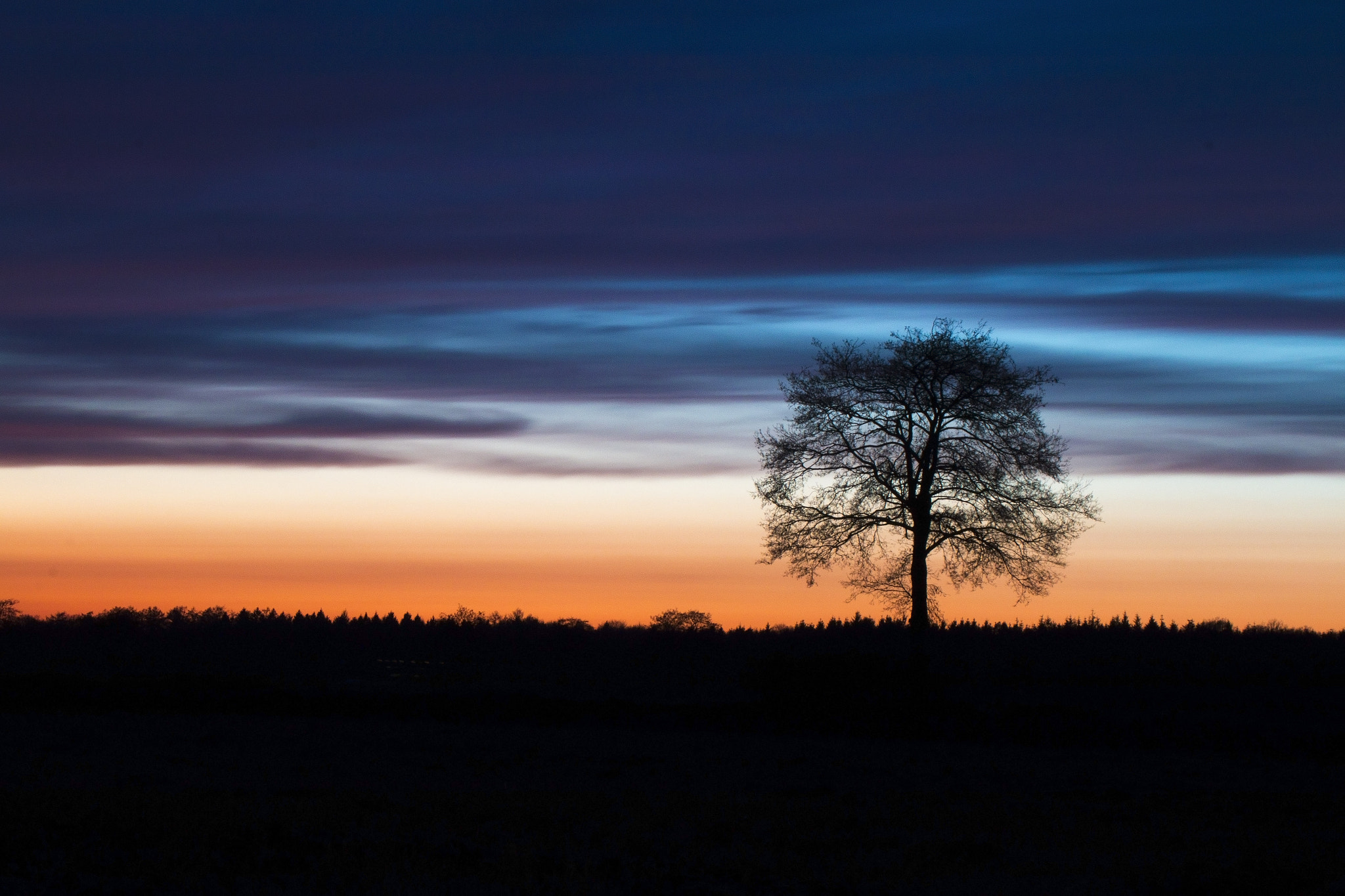 Canon EF 28-80mm f/3.5-5.6 sample photo. Sunset tree photography