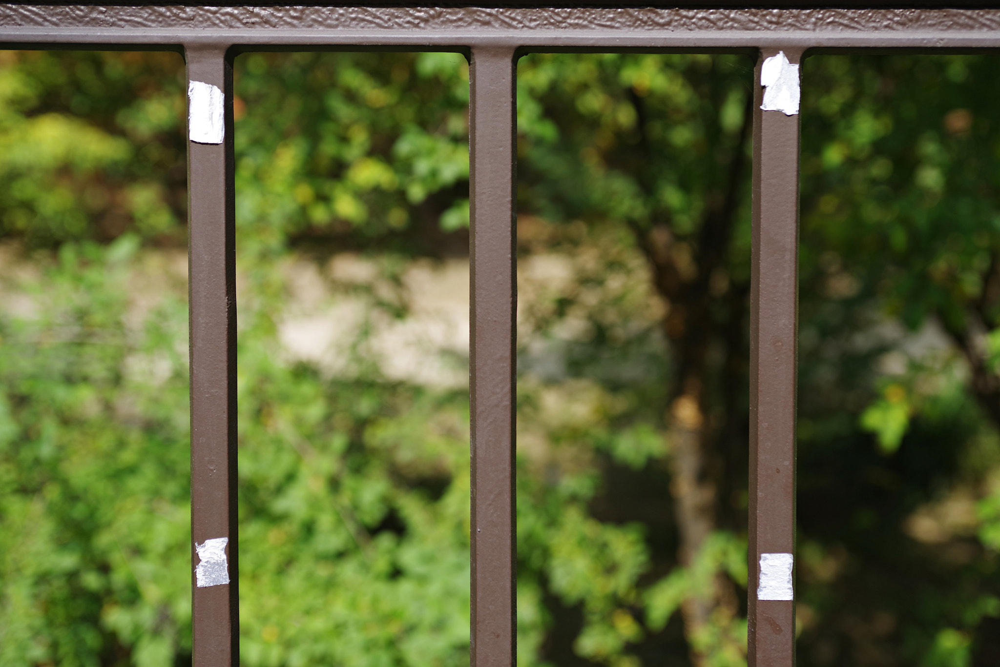 smc PENTAX-FA* 28-70mm F2.8 AL sample photo. Trace of frame photography