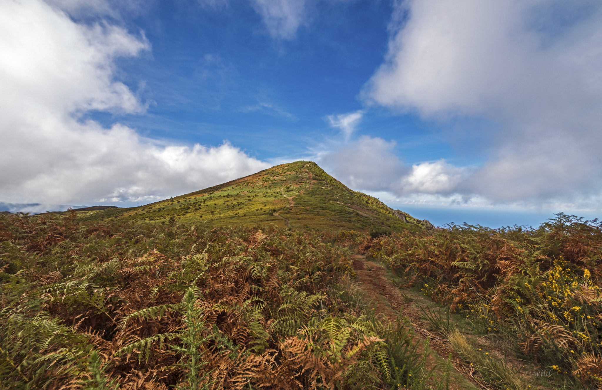 Nikon D610 + Sigma 12-24mm F4.5-5.6 II DG HSM sample photo. Road to the mountain photography