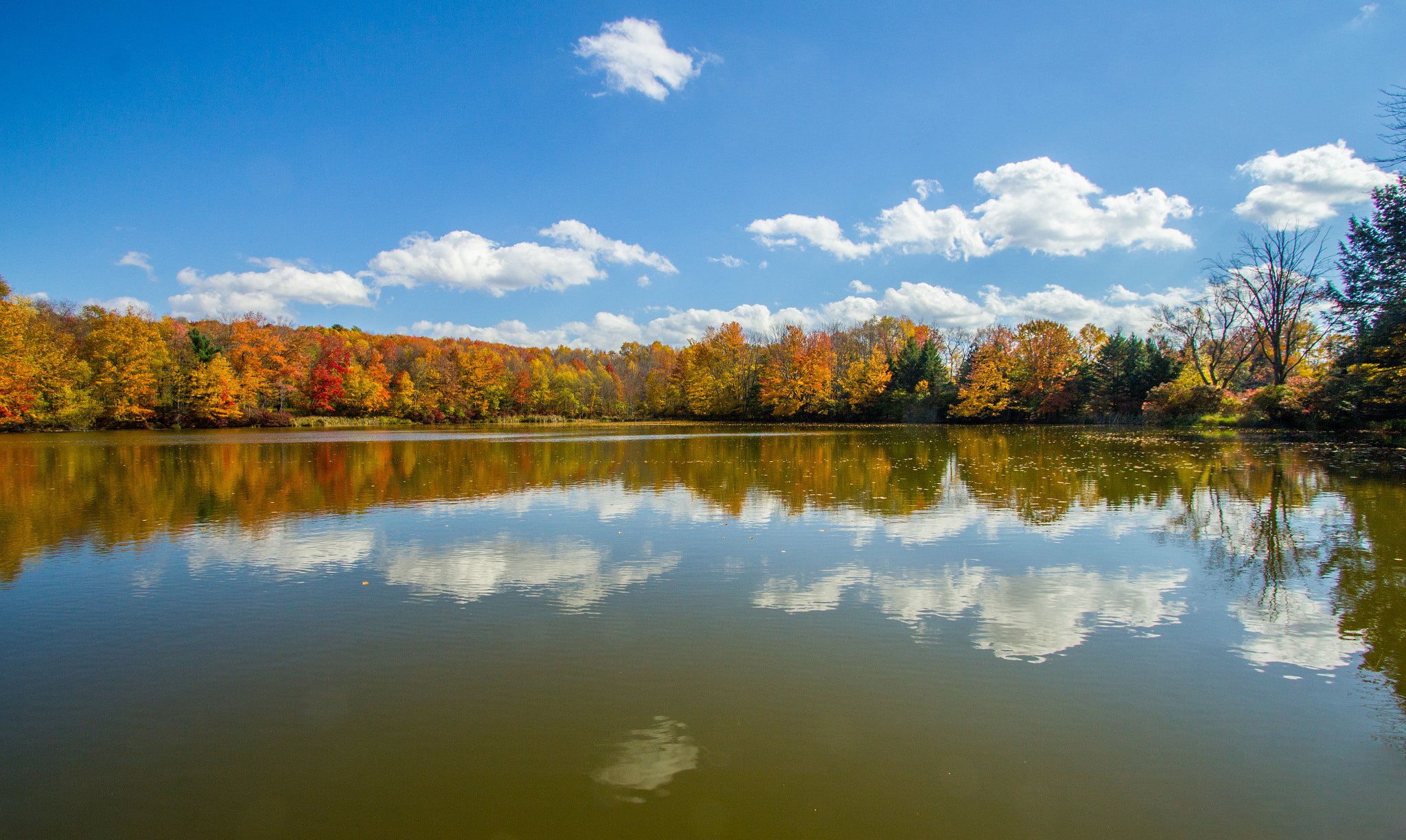 Canon EF-S 10-22mm F3.5-4.5 USM sample photo. Bethel pond reflections photography