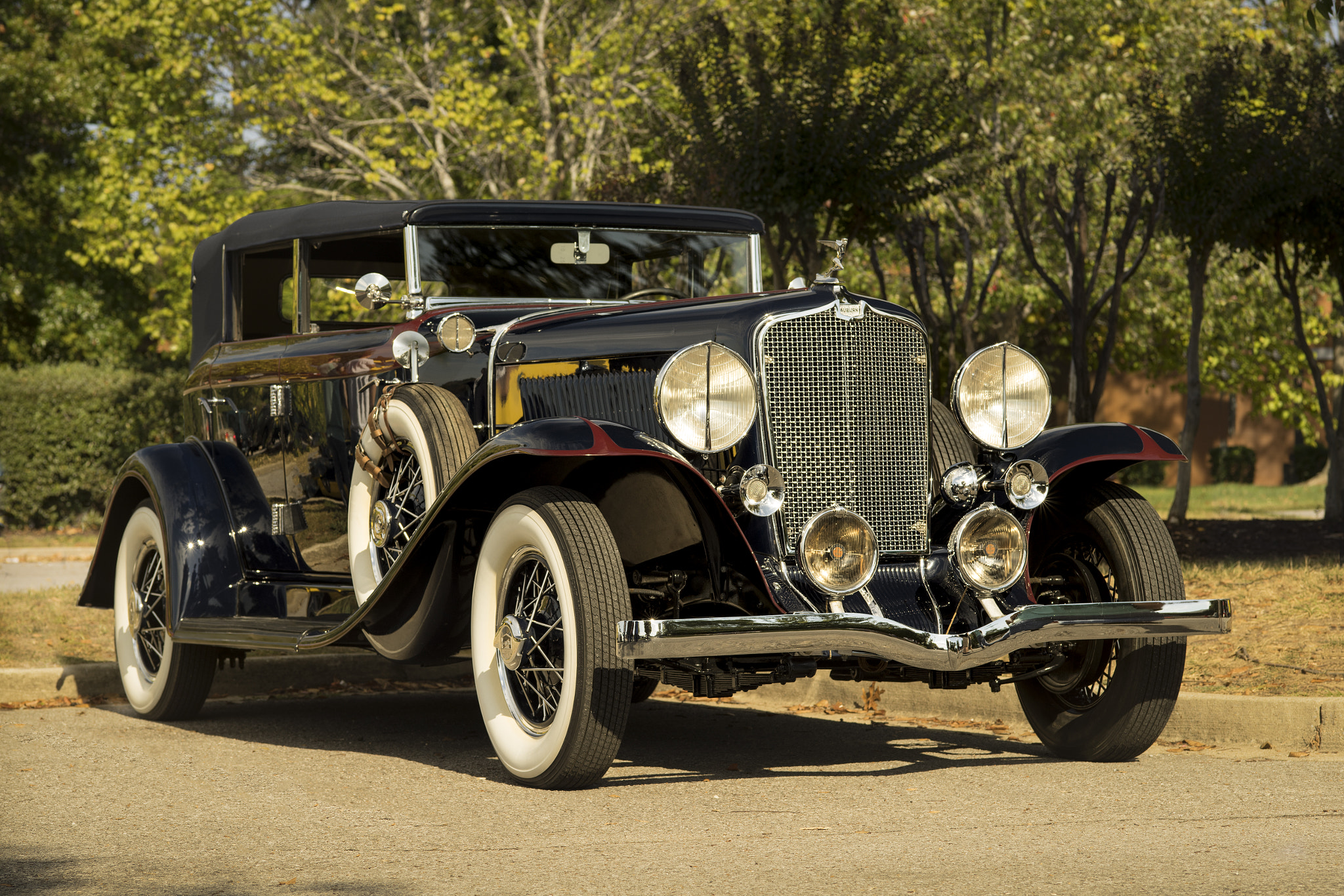 ZEISS Makro-Planar T* 100mm F2 sample photo. 1931 auburn photography