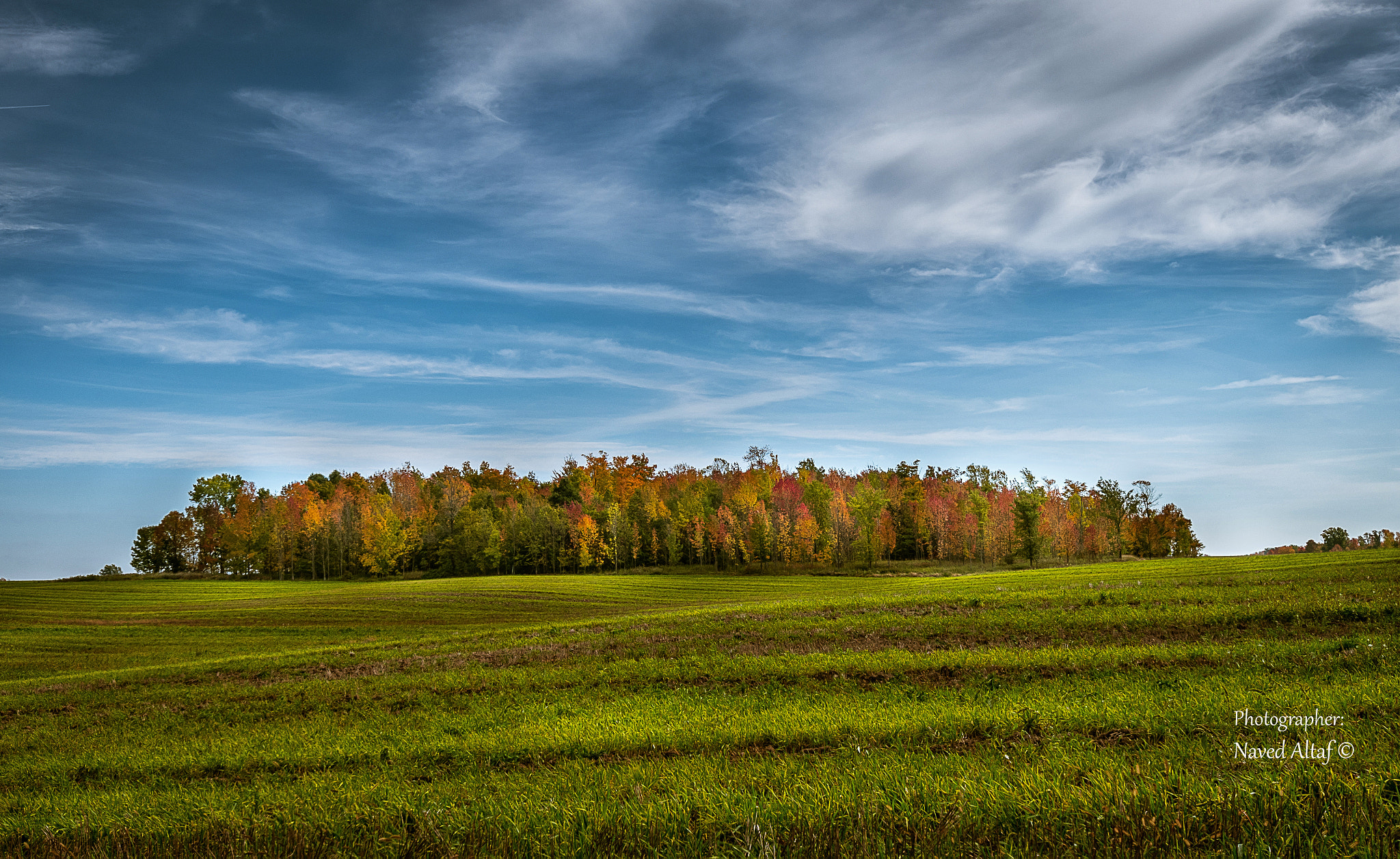 Nikon D500 sample photo. Autumn colors! photography