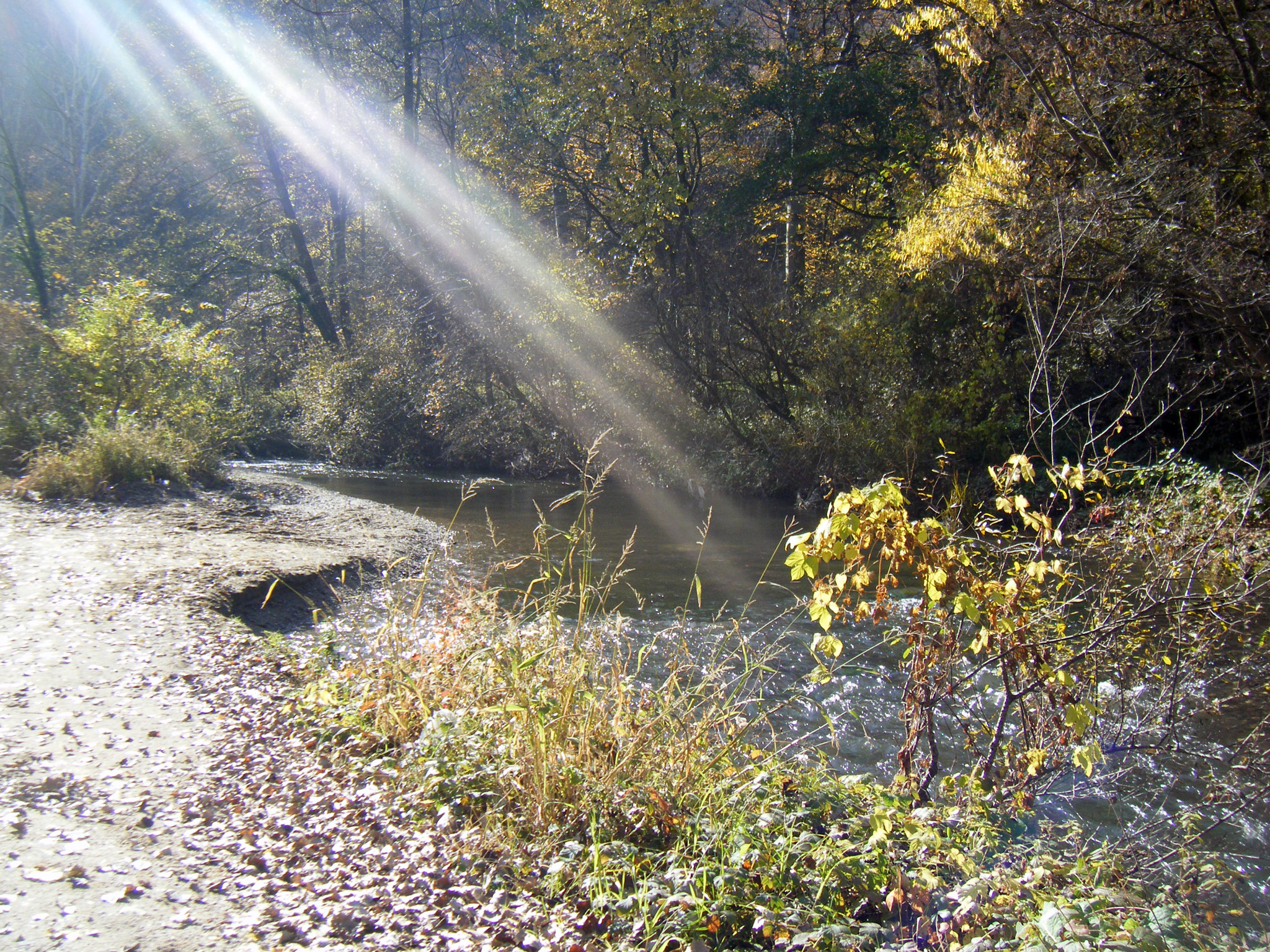Fujifilm FinePix Z10fd sample photo. Bovan photography