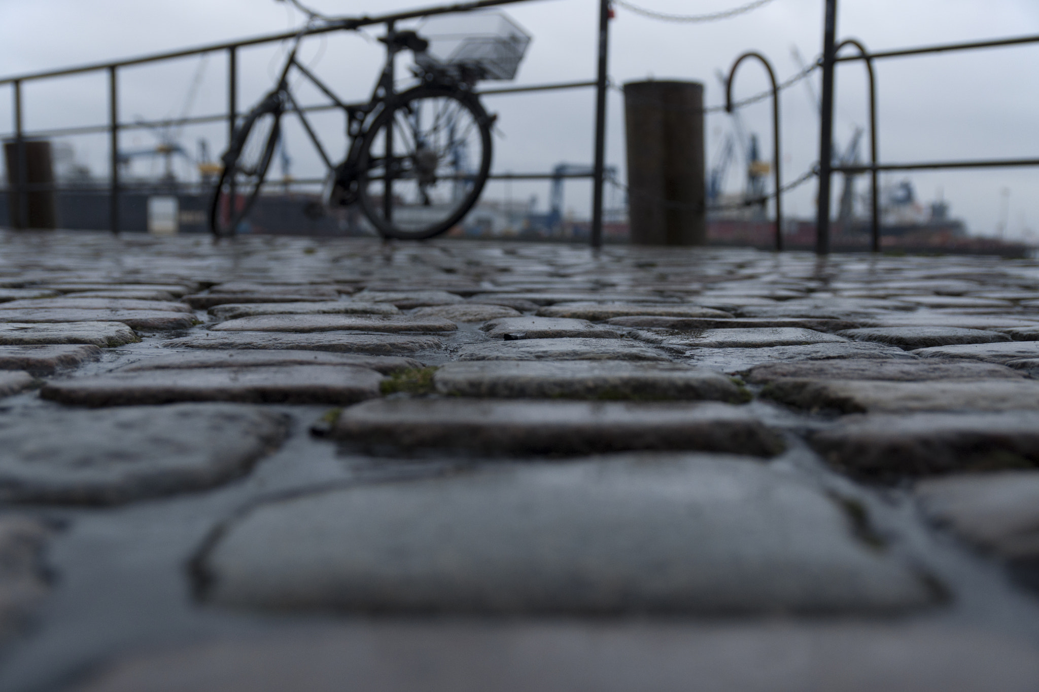 Sigma 17-50mm F2.8 EX DC OS HSM sample photo. Back to the roots photography