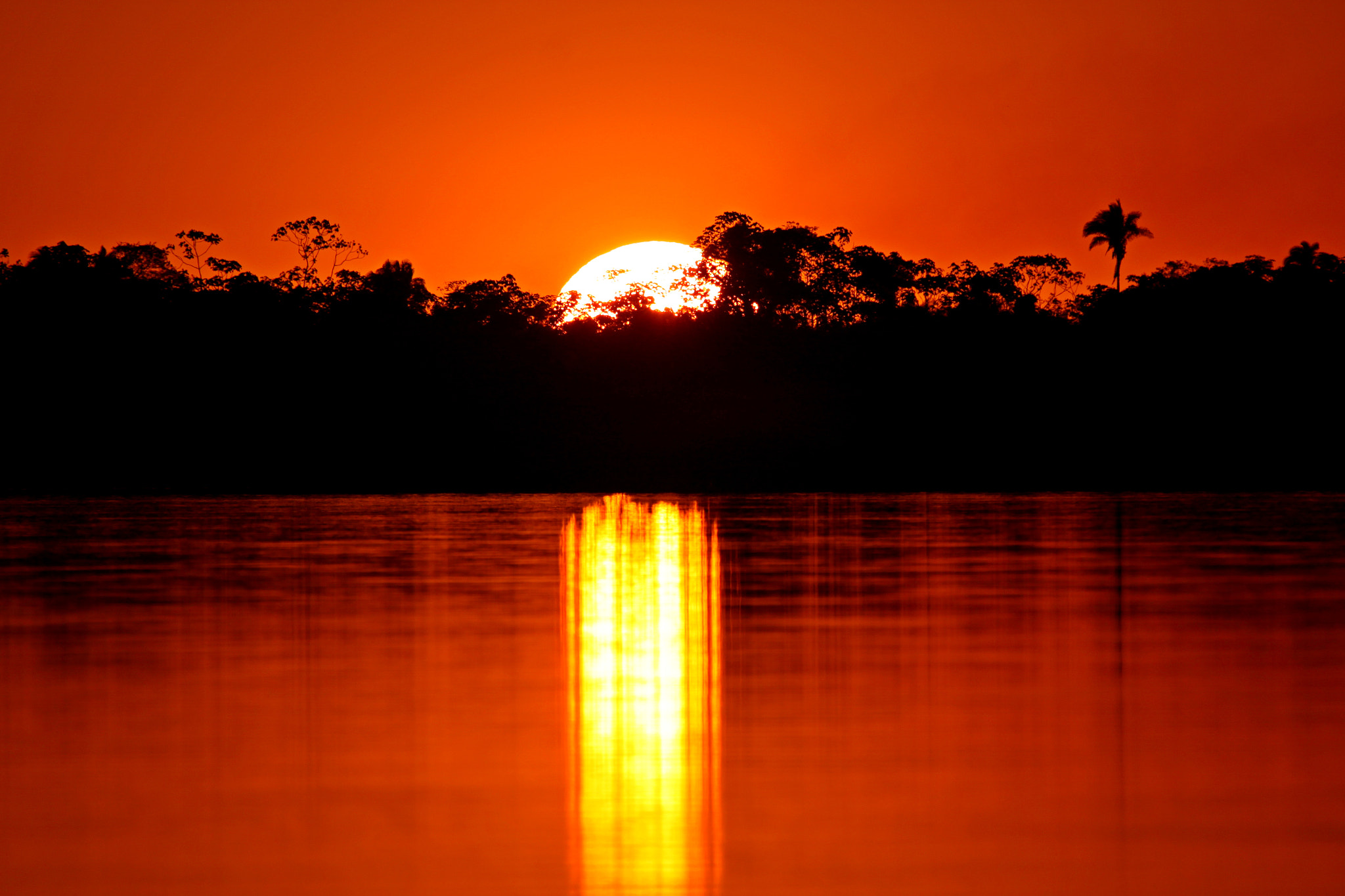 Canon EOS 500D (EOS Rebel T1i / EOS Kiss X3) + Canon EF 100-400mm F4.5-5.6L IS USM sample photo. Sunset in te tocantins river photography