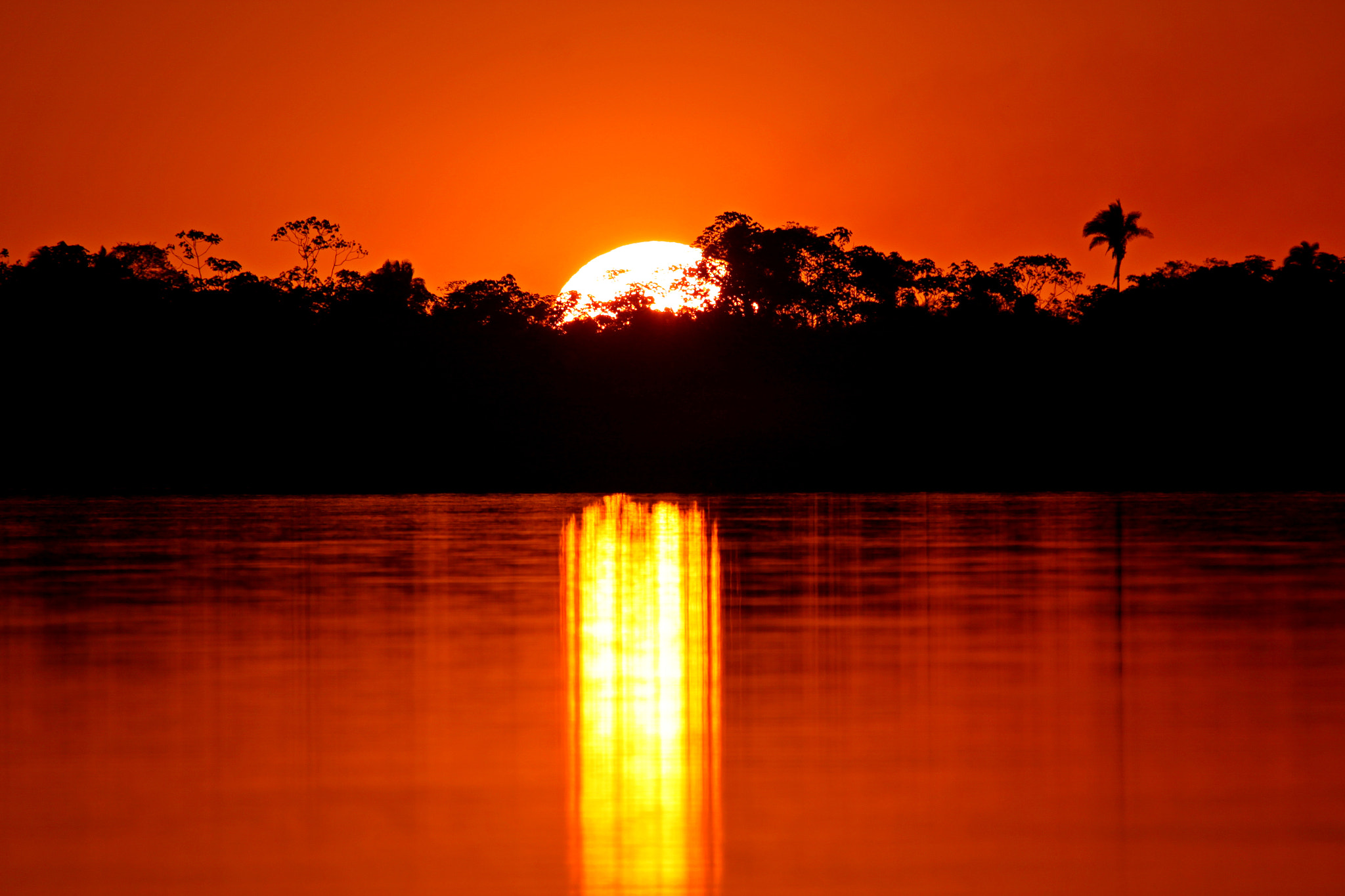Canon EF 100-400mm F4.5-5.6L IS USM sample photo. Sunset in te tocantins river photography