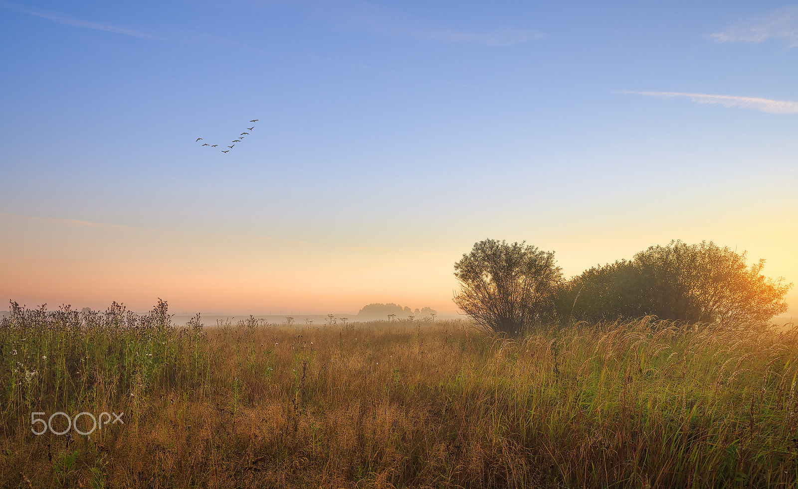 Canon EOS 6D + Canon EF 20mm F2.8 USM sample photo. Moscow region, russia. photography