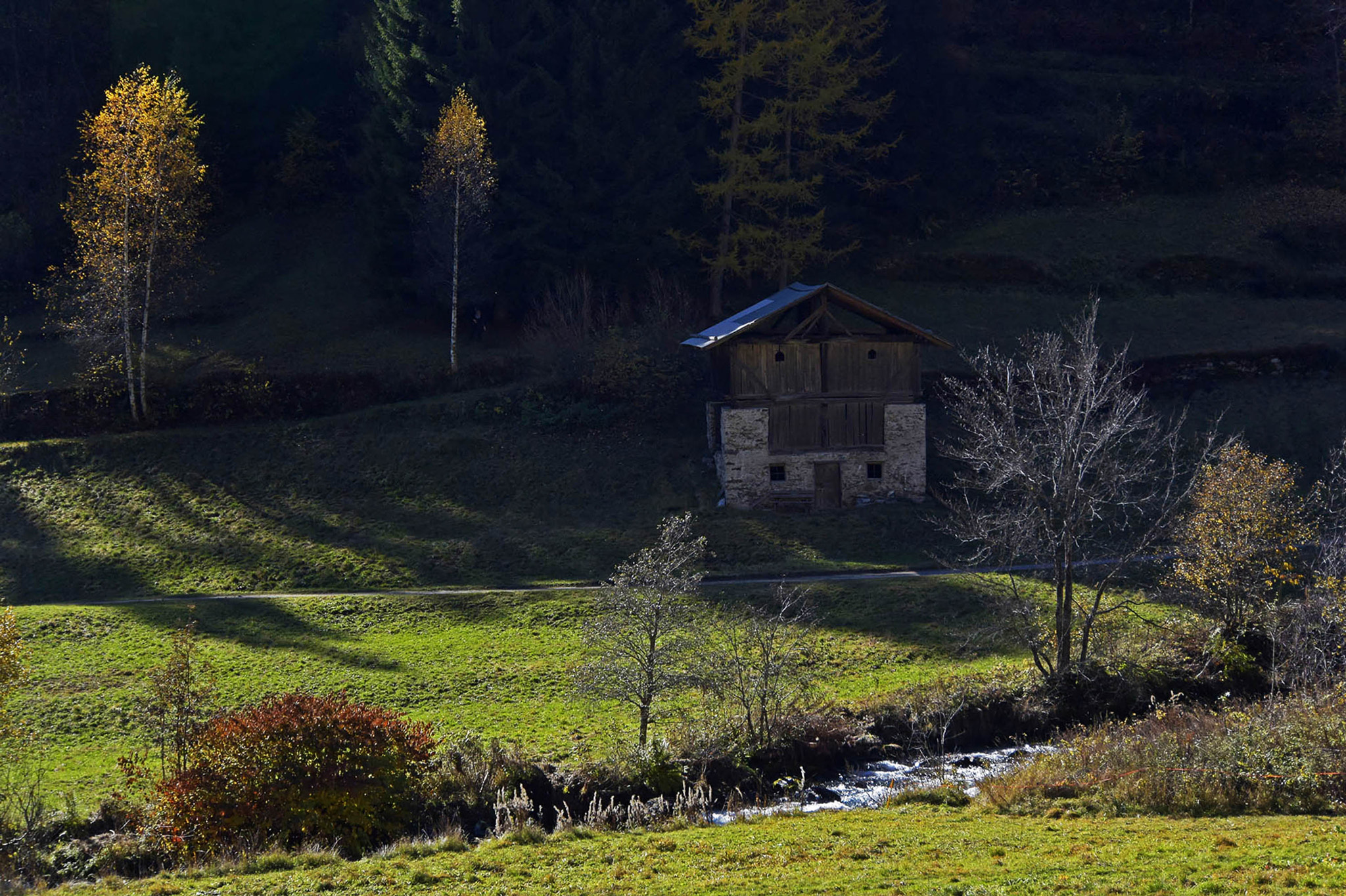 Nikon 1 V3 sample photo. Autumn - colors of nature 1 photography