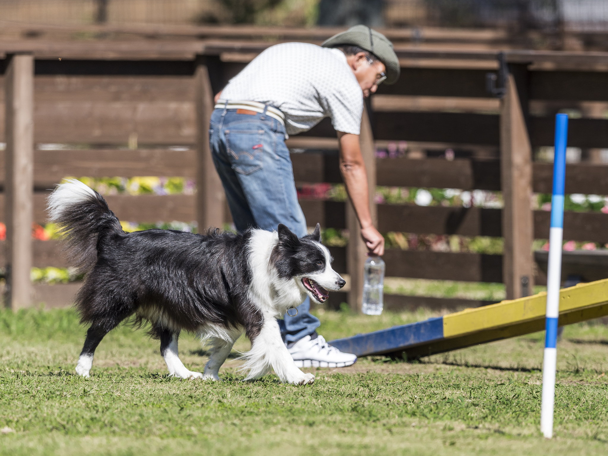 Nikon AF-S Nikkor 400mm F2.8E FL ED VR sample photo. Agility photography