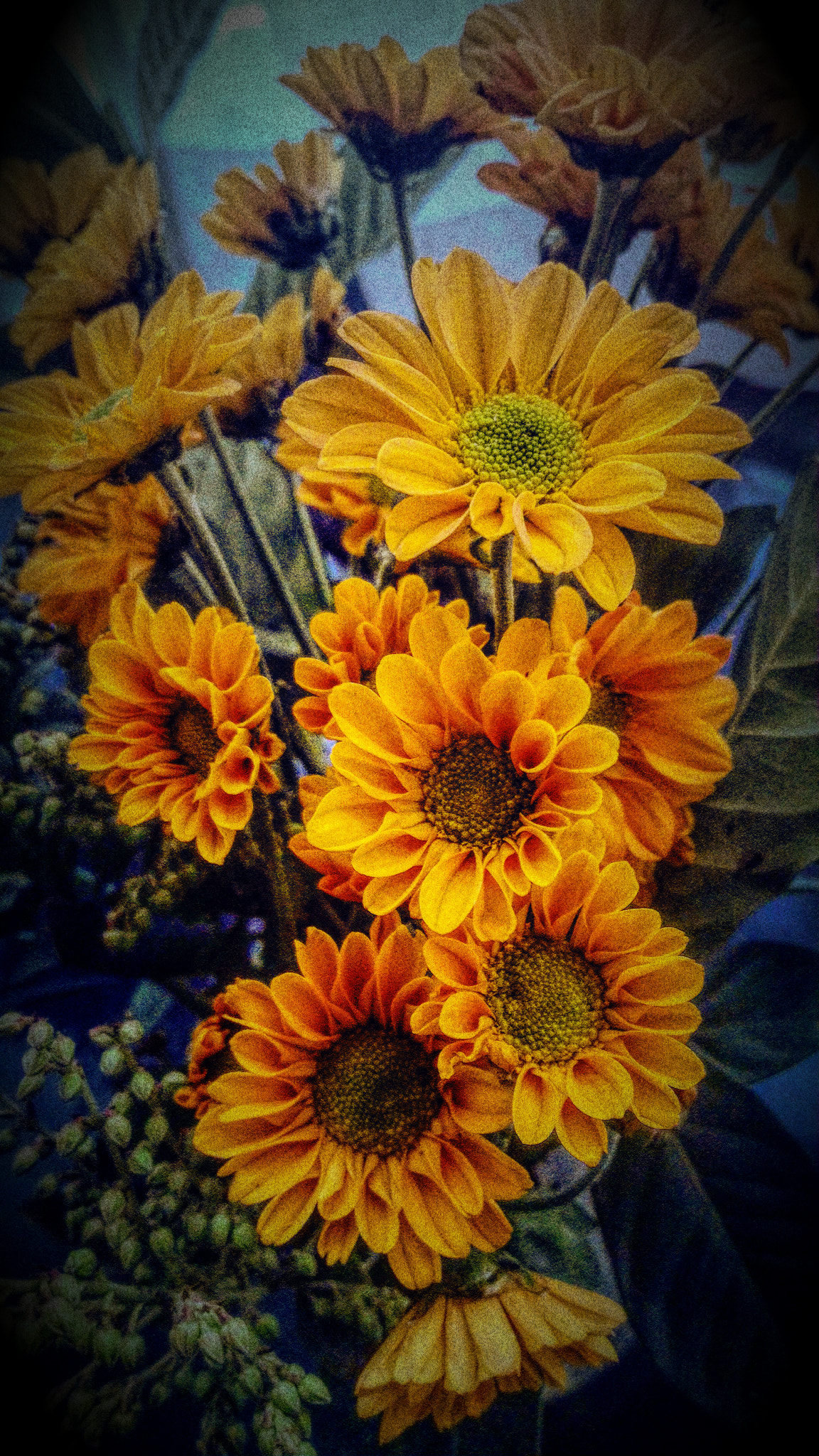 ASUS Z00ADB sample photo. 车矢菊 photography