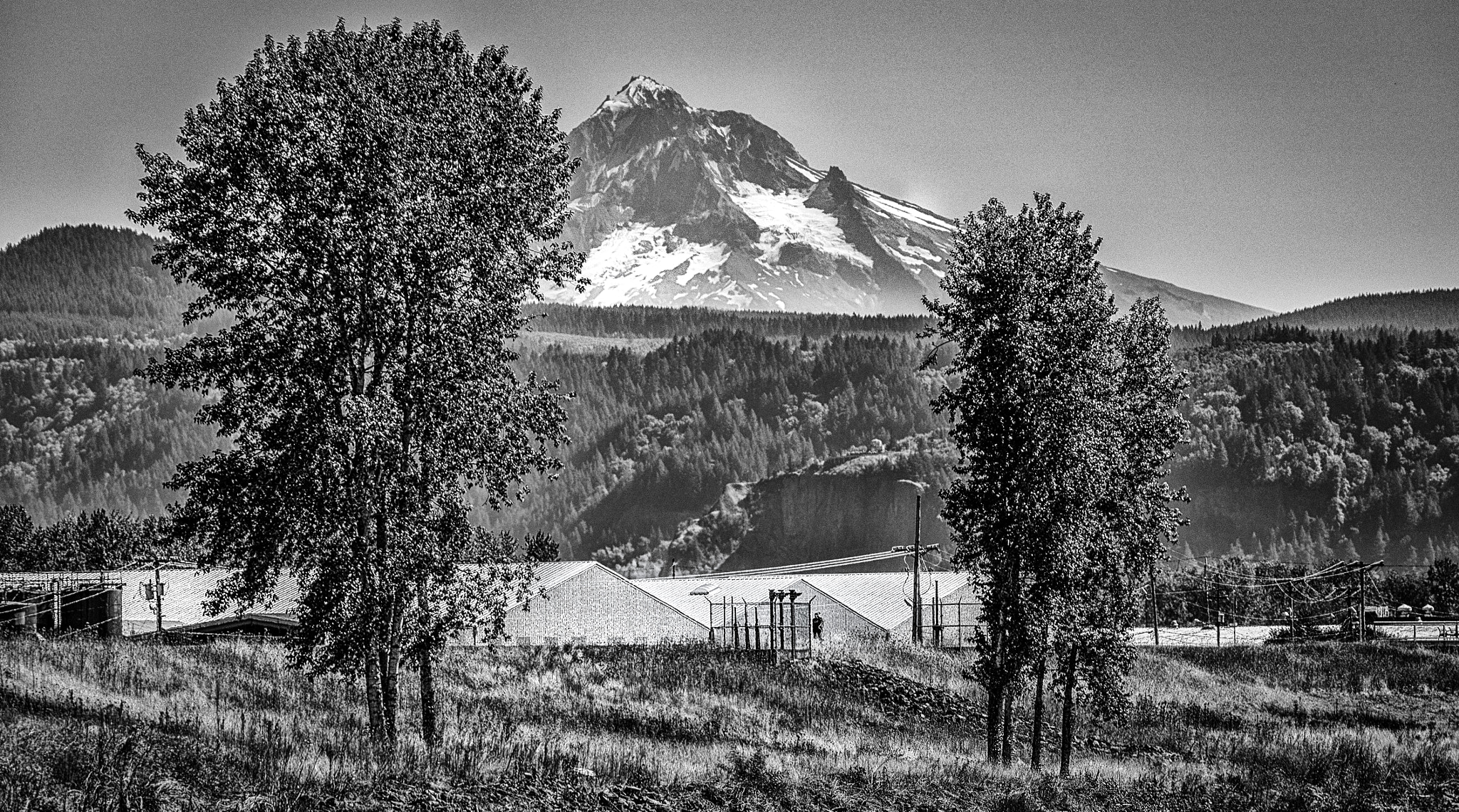 Olympus PEN E-PL5 sample photo. Mount hood 3 photography