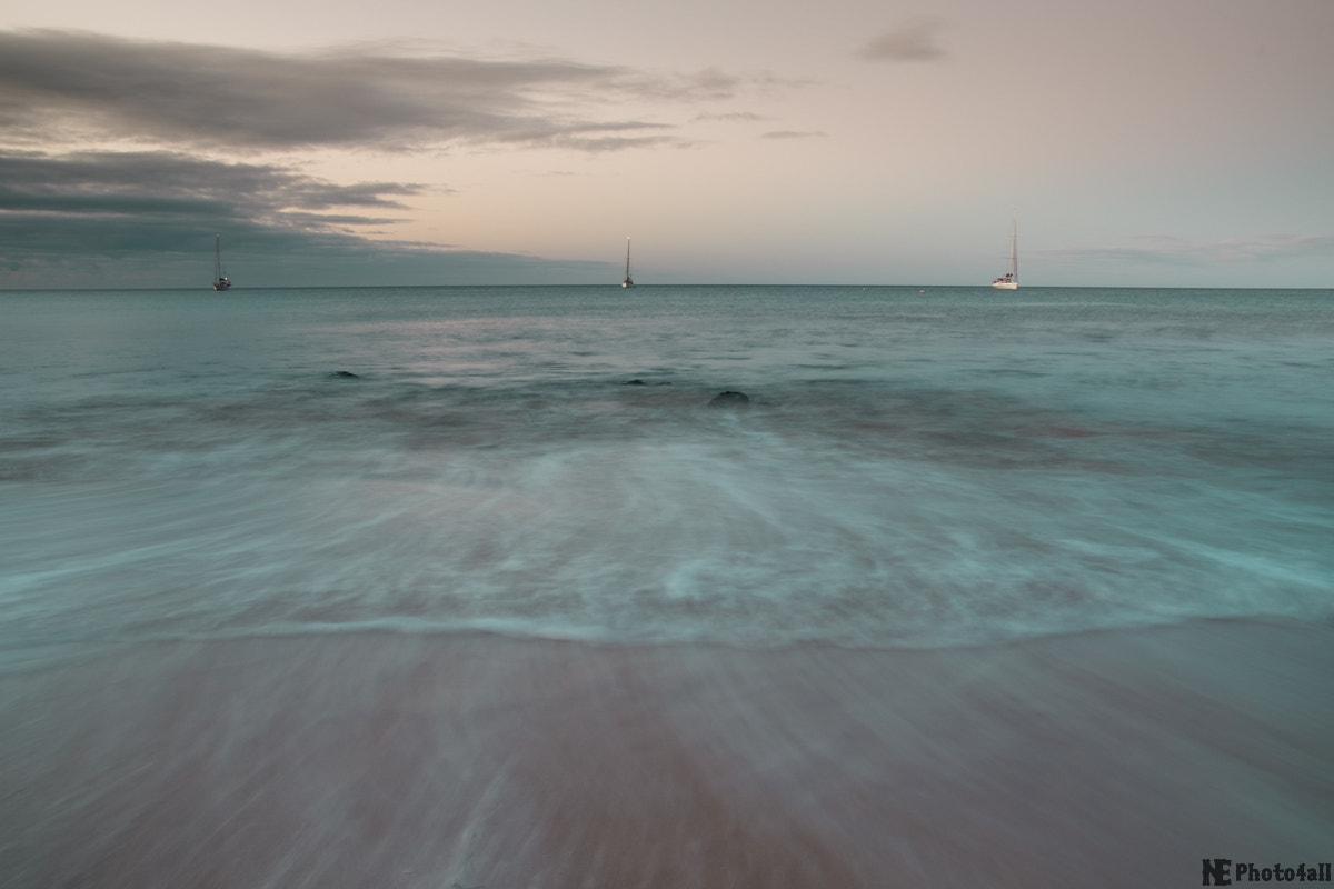 Sony ILCA-77M2 sample photo. Stille photography