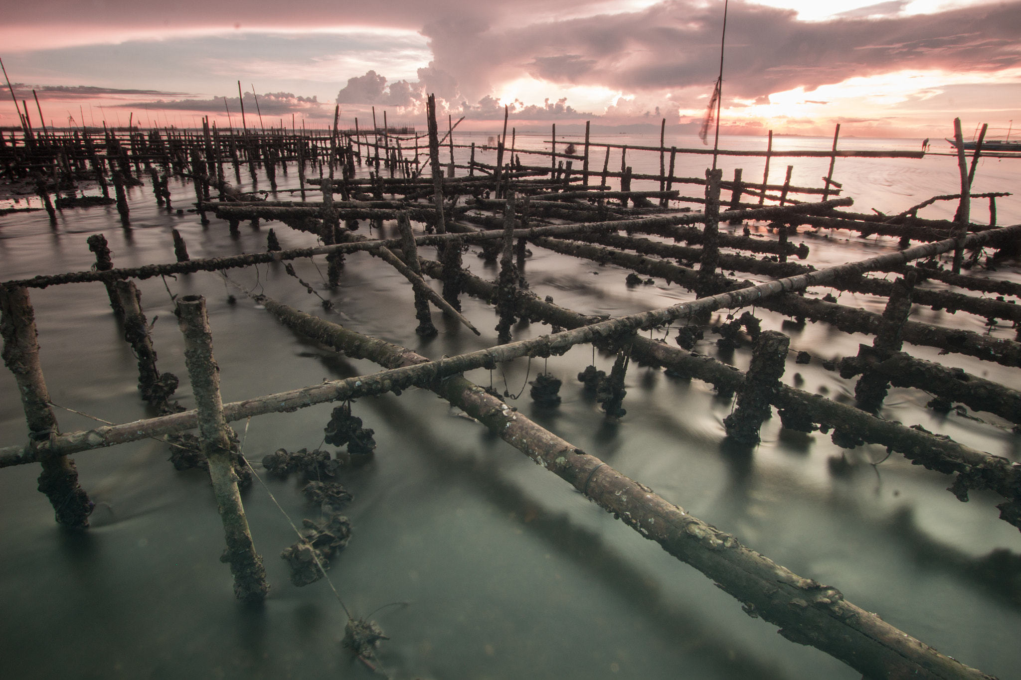 Canon EF-S 10-22mm F3.5-4.5 USM sample photo. Balaring oyster farm 1 photography