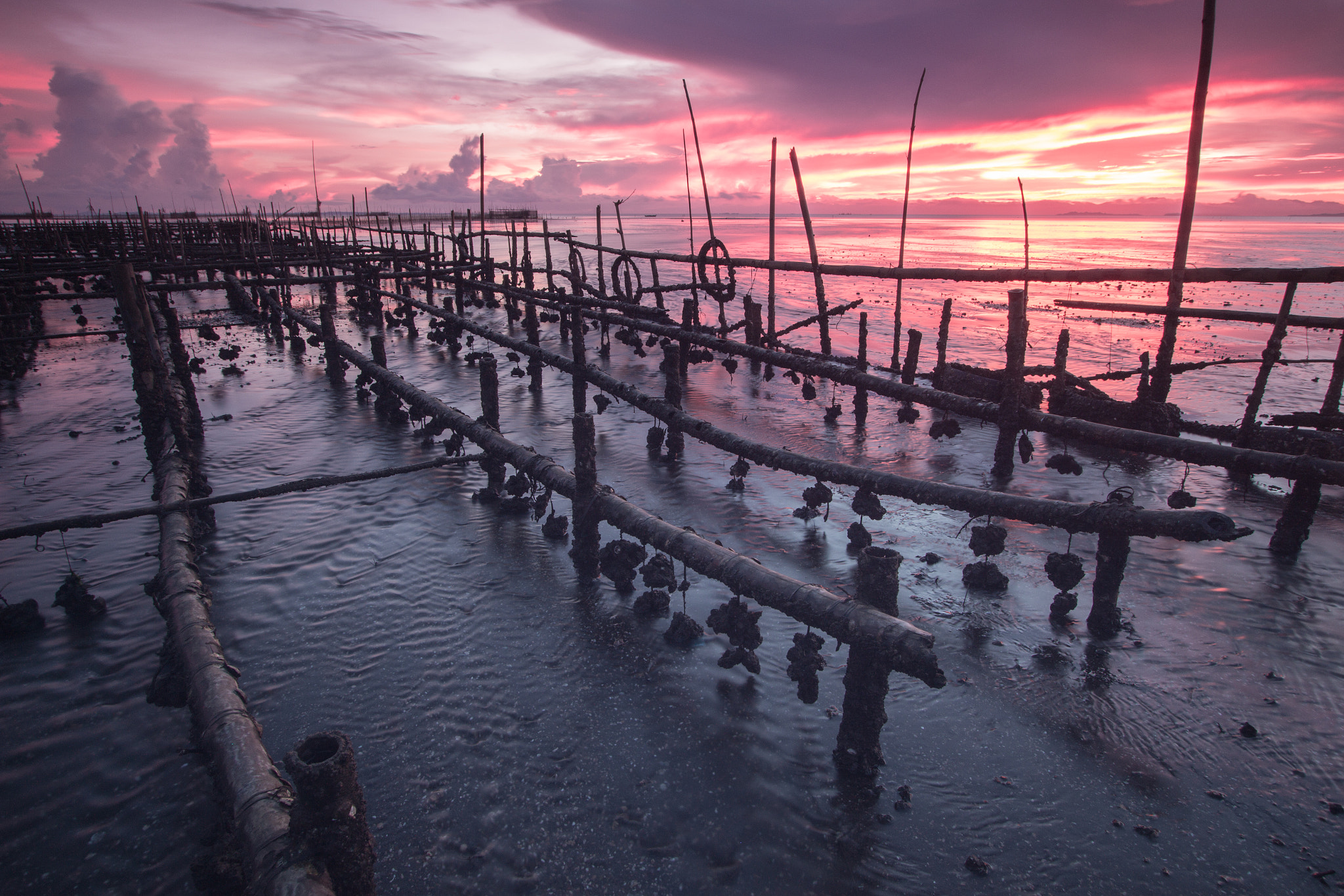 Canon EF-S 10-22mm F3.5-4.5 USM sample photo. Balaring oyster farm 2 photography