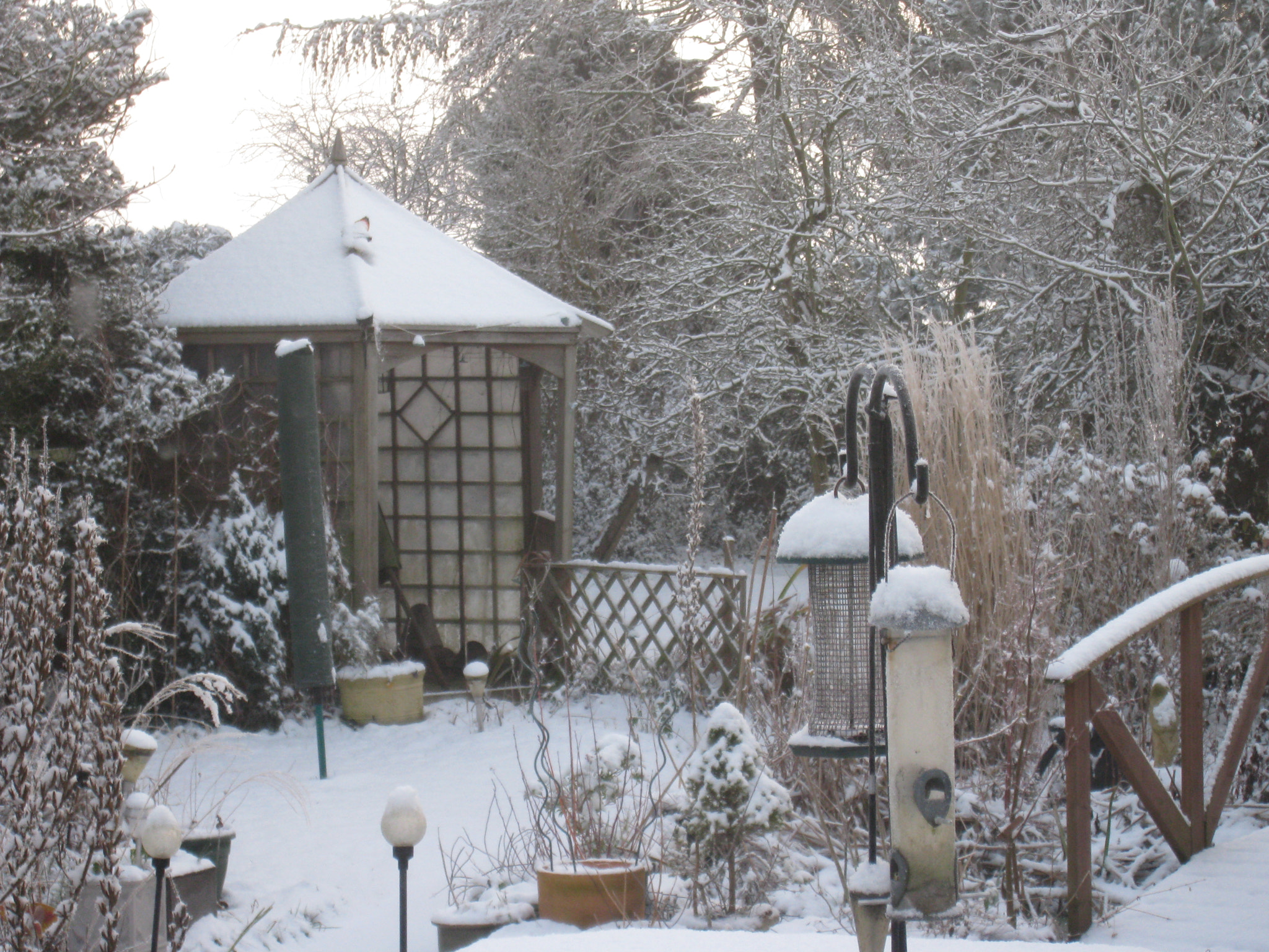 Canon DIGITAL IXUS 860 IS sample photo. Snow in my garden photography