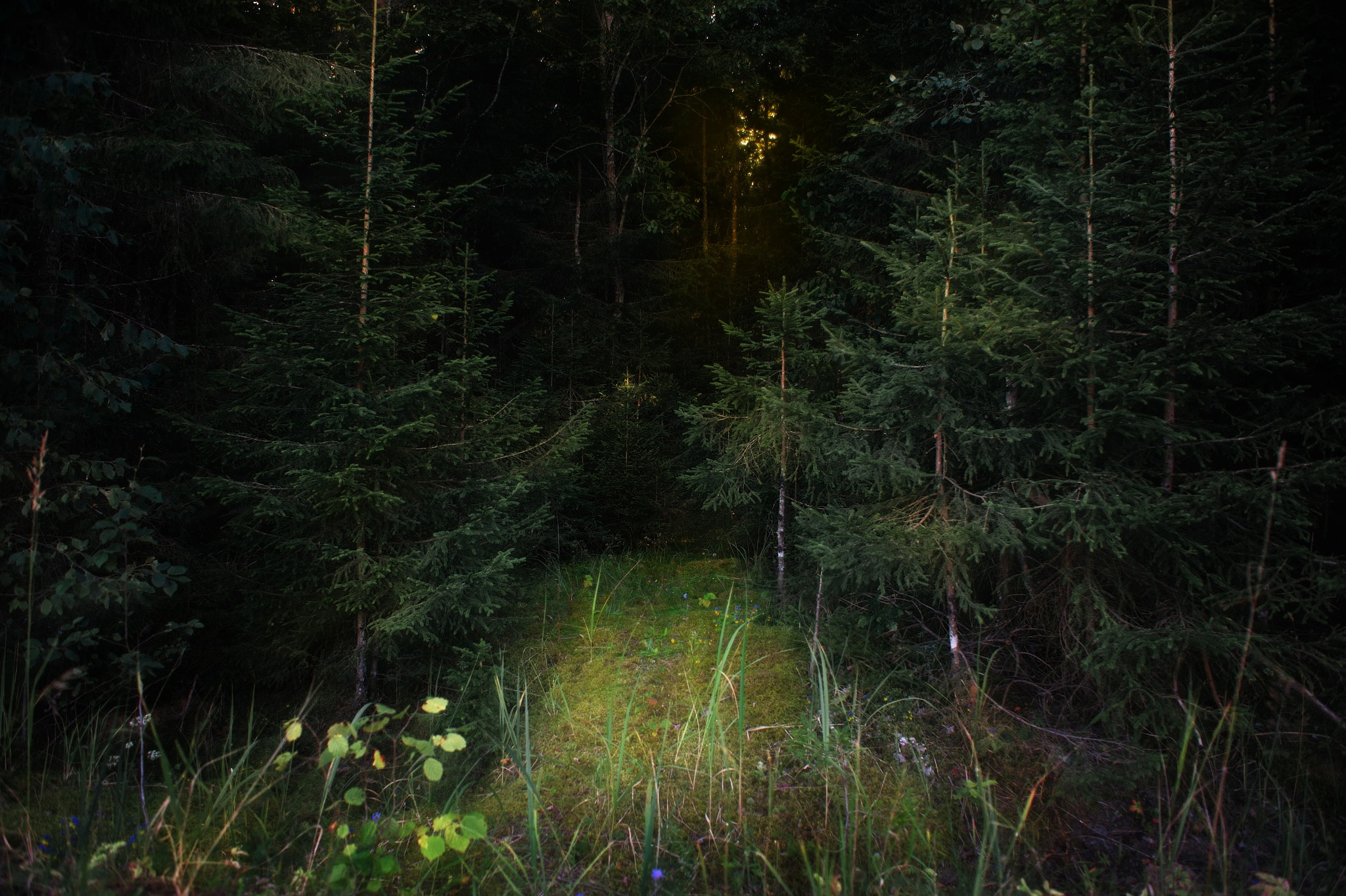 AF Zoom-Nikkor 28-85mm f/3.5-4.5 sample photo. There's the devil roams photography