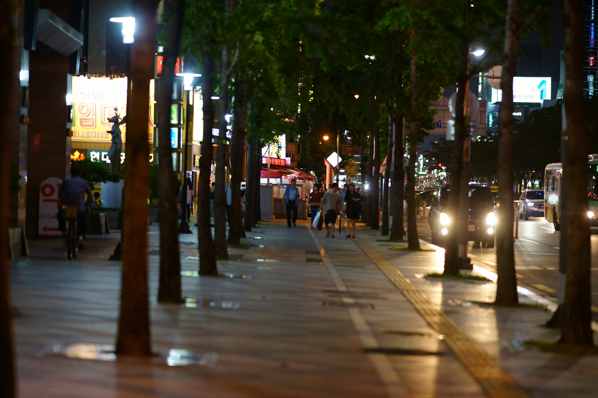 Sony Sonnar T* 135mm F1.8 ZA sample photo. In  daegu photography