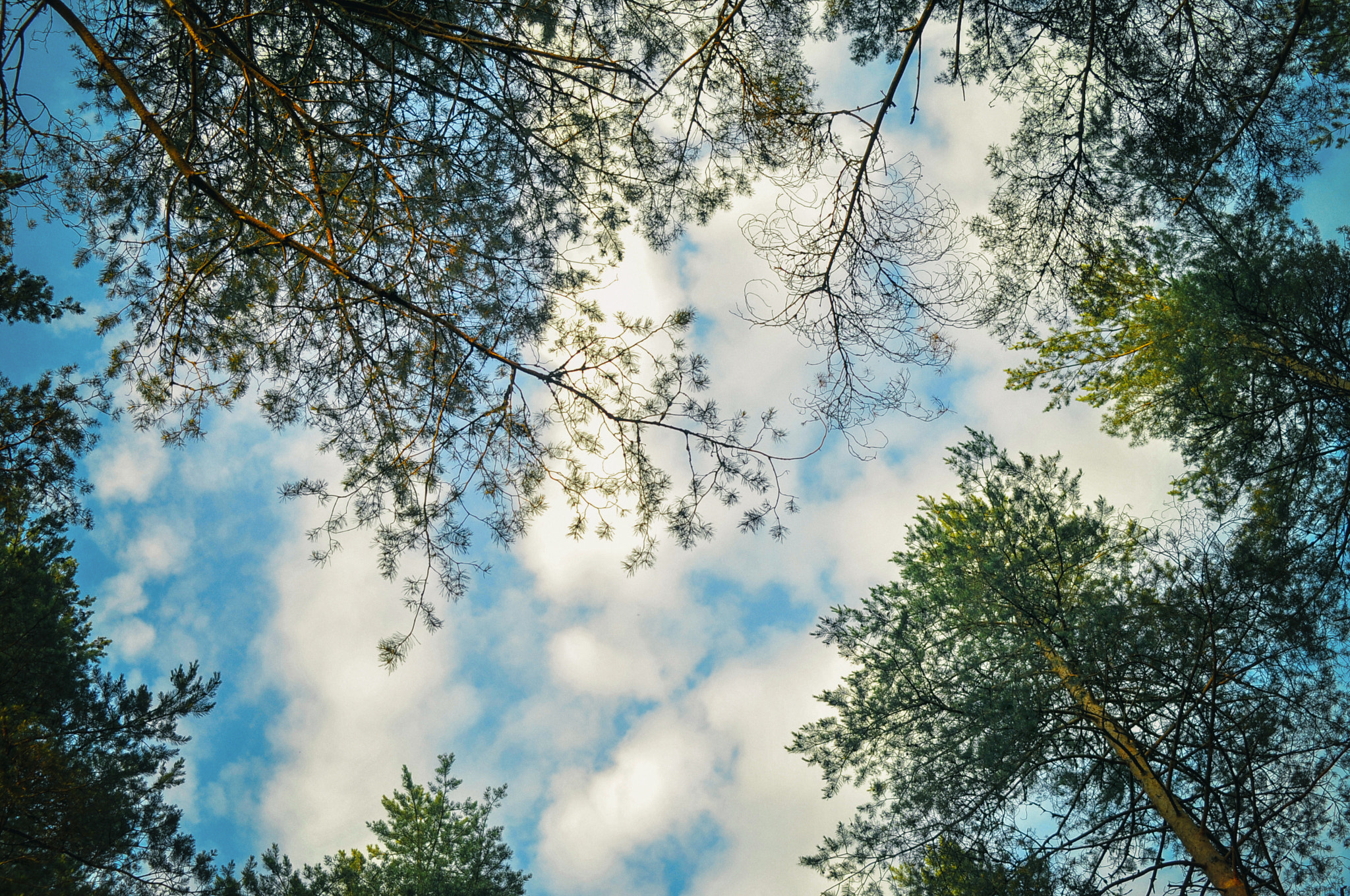 AF Zoom-Nikkor 35-70mm f/3.3-4.5 sample photo. Sky photography